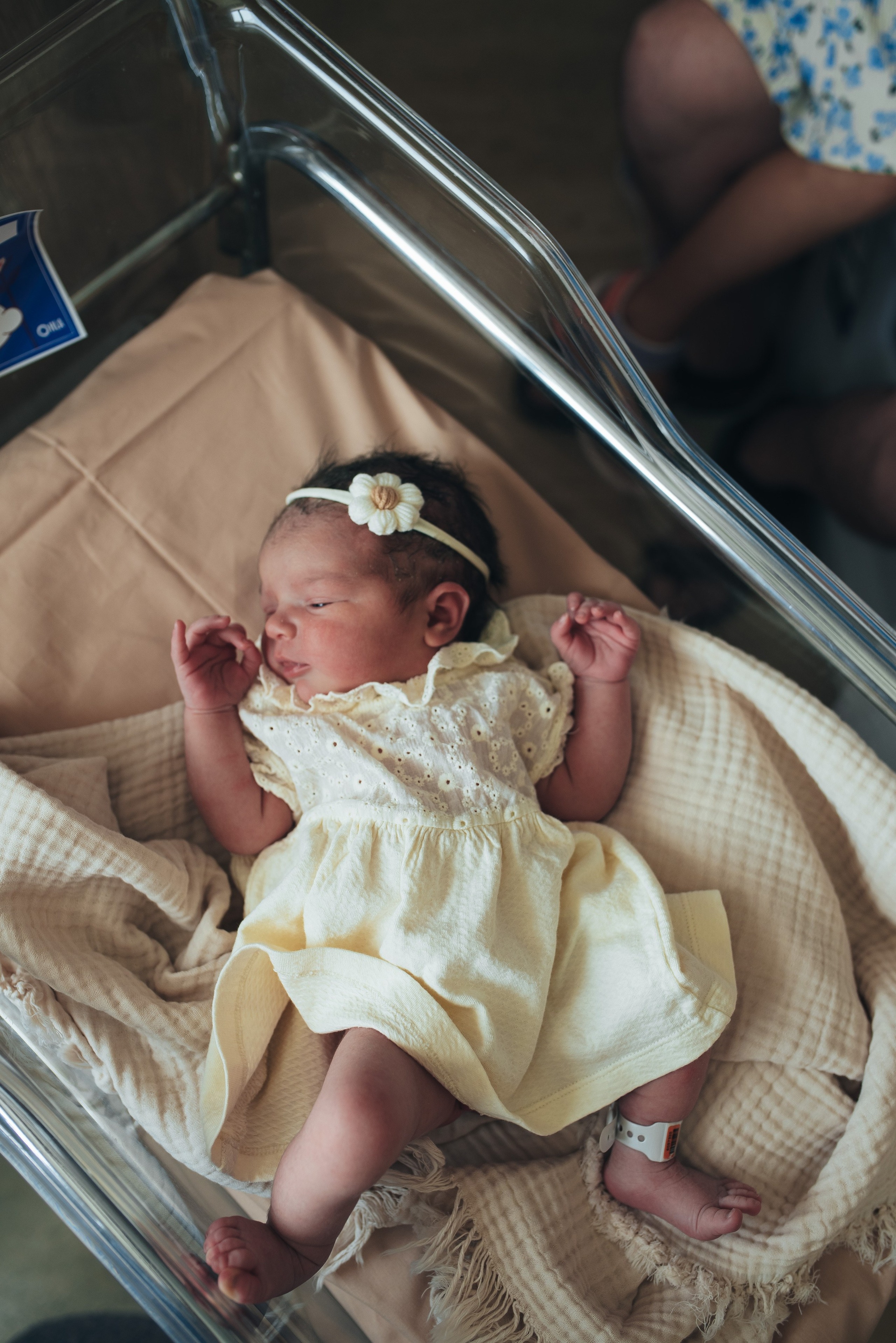 Fresh 48. Https://newbornphoto.wfolio.pro/me