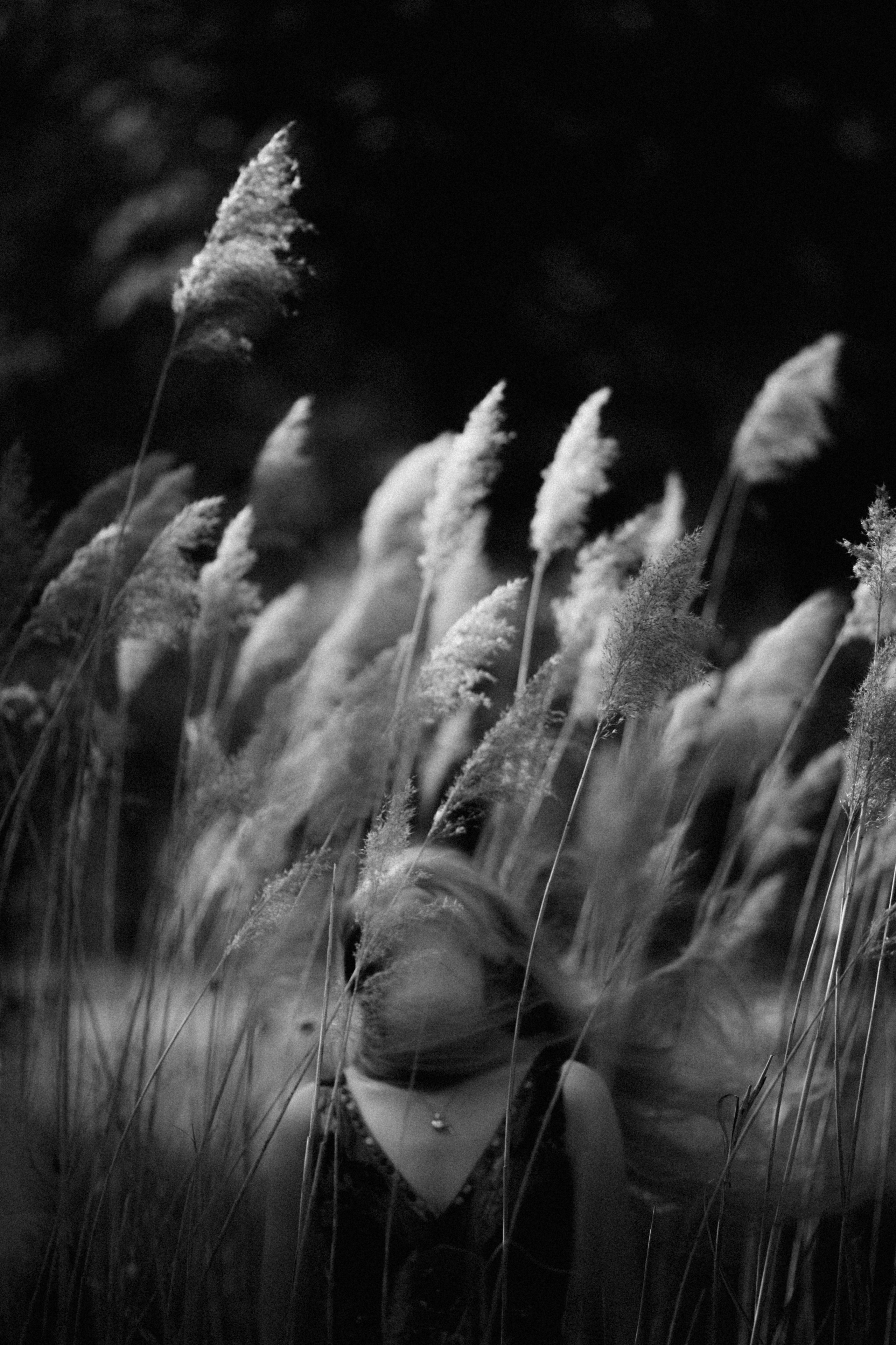 33. Фотограф Андрей Друк