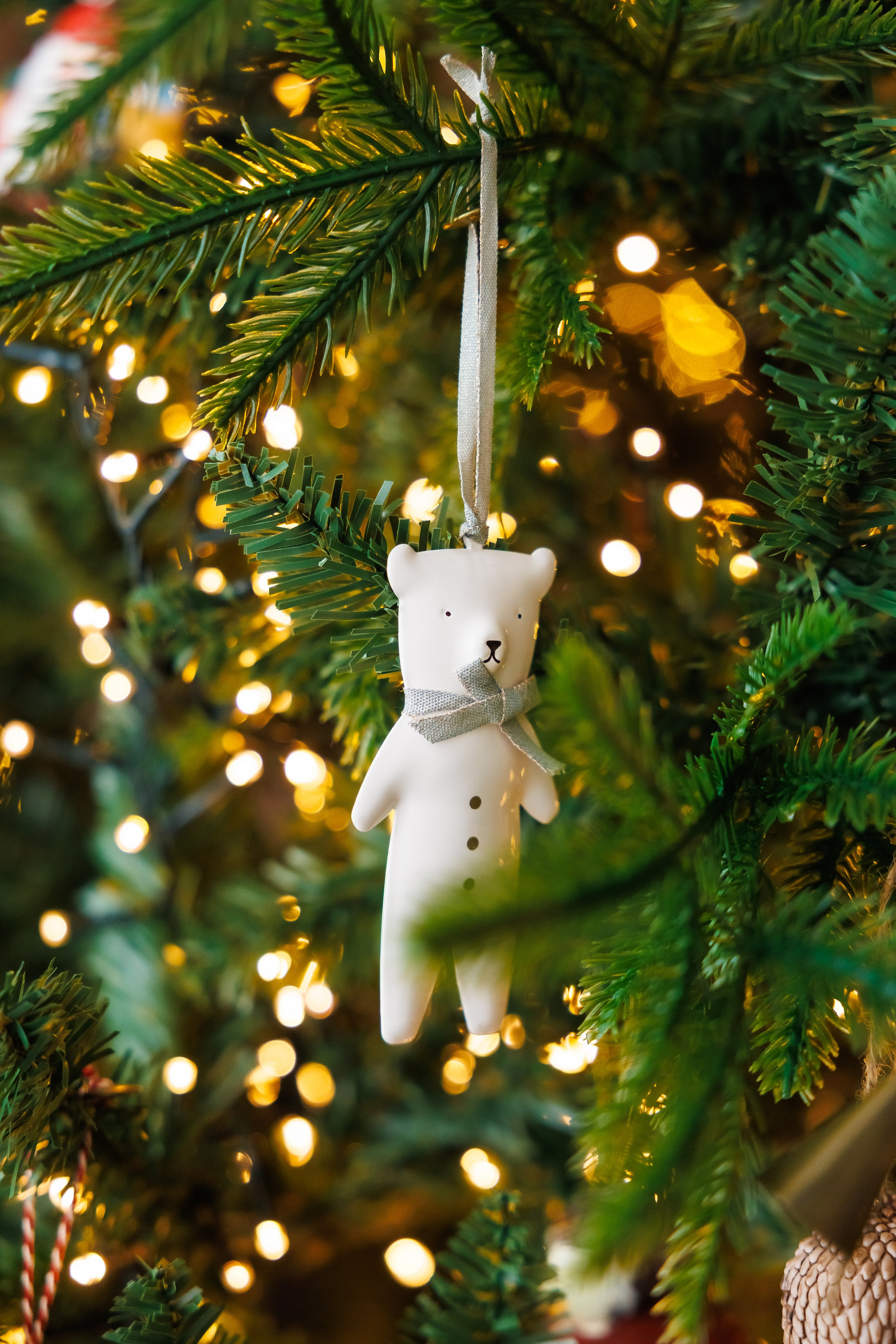 Коледа 2025 №1. Фотограф Ирина Йотова