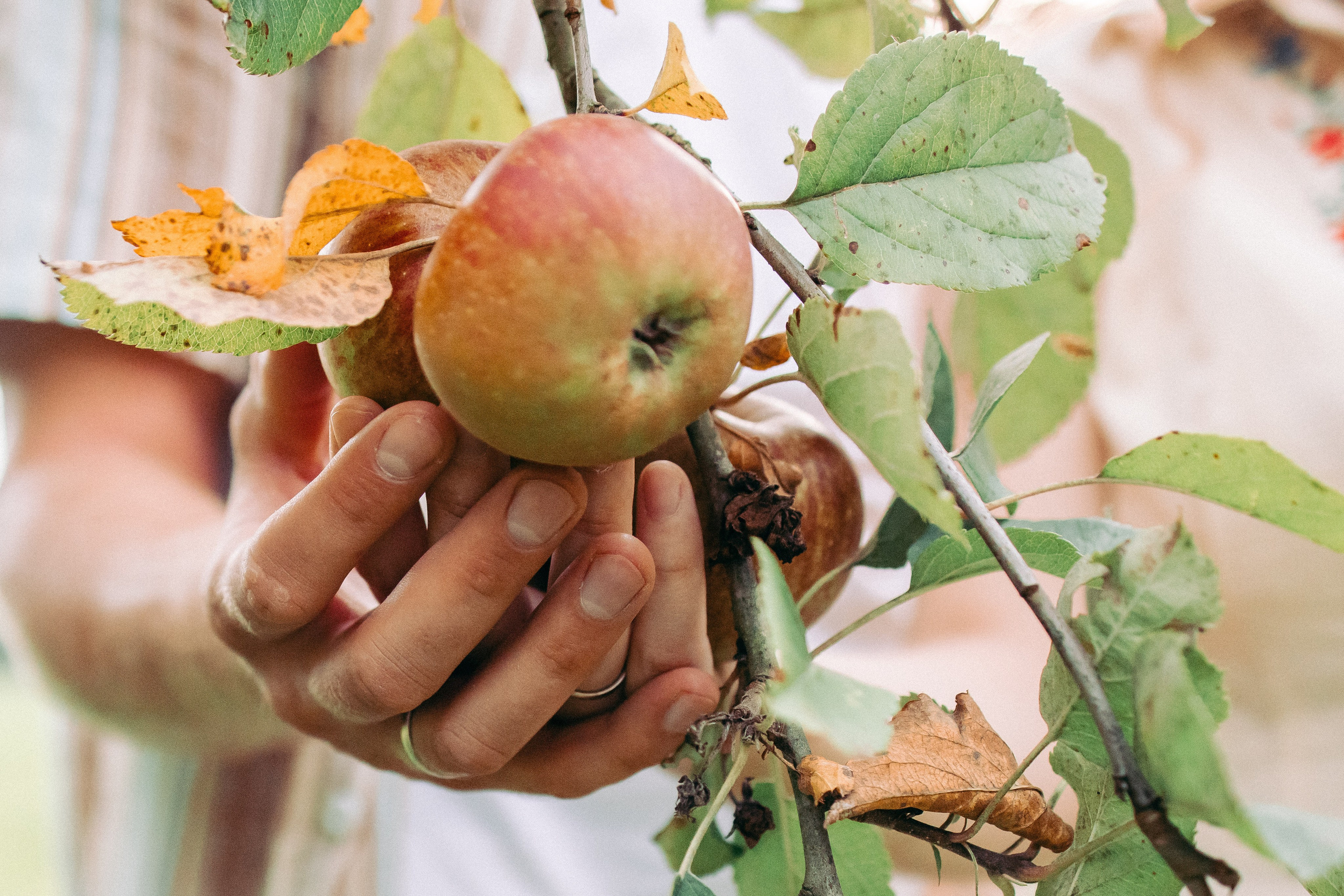 Hochzeitsfotograf Wickede, Hochzeitsfotograf NRW