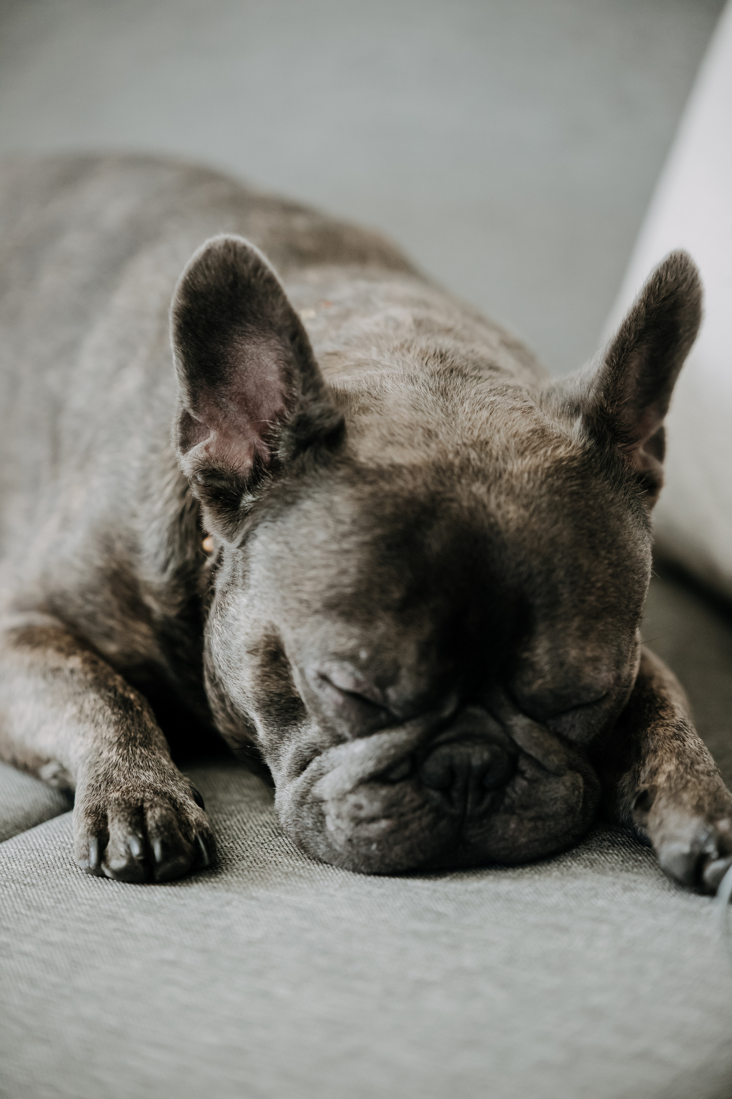 Radvilė & Paulius. Wedding, christening and family photographers in Vilnius, Lithuania