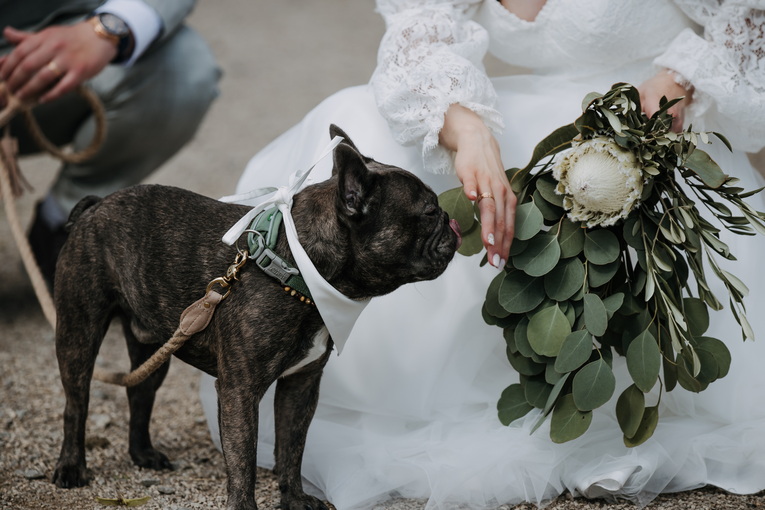 Radvilė & Paulius. Wedding, christening and family photographers in Vilnius, Lithuania