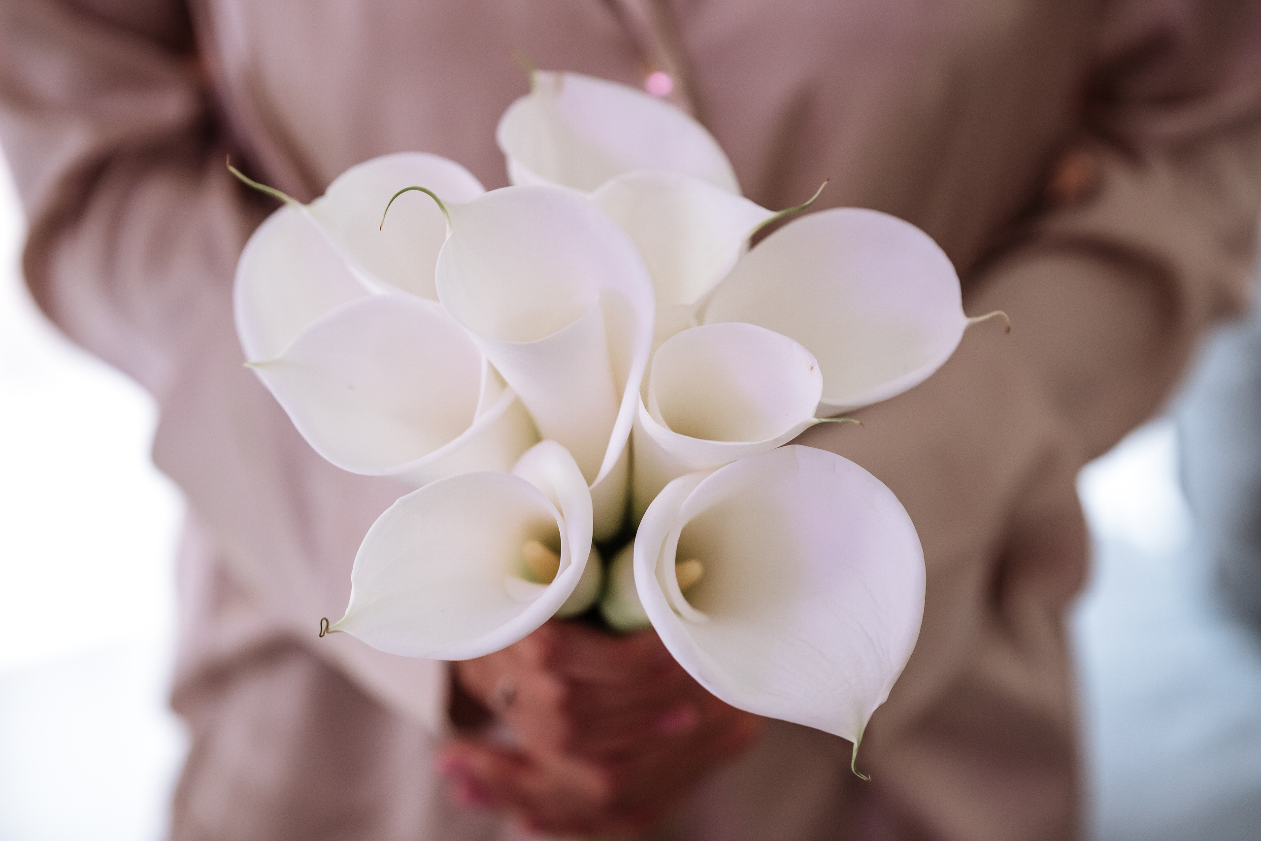 Miglė & Edmundas. Wedding, christening and family photographers in Vilnius, Lithuania