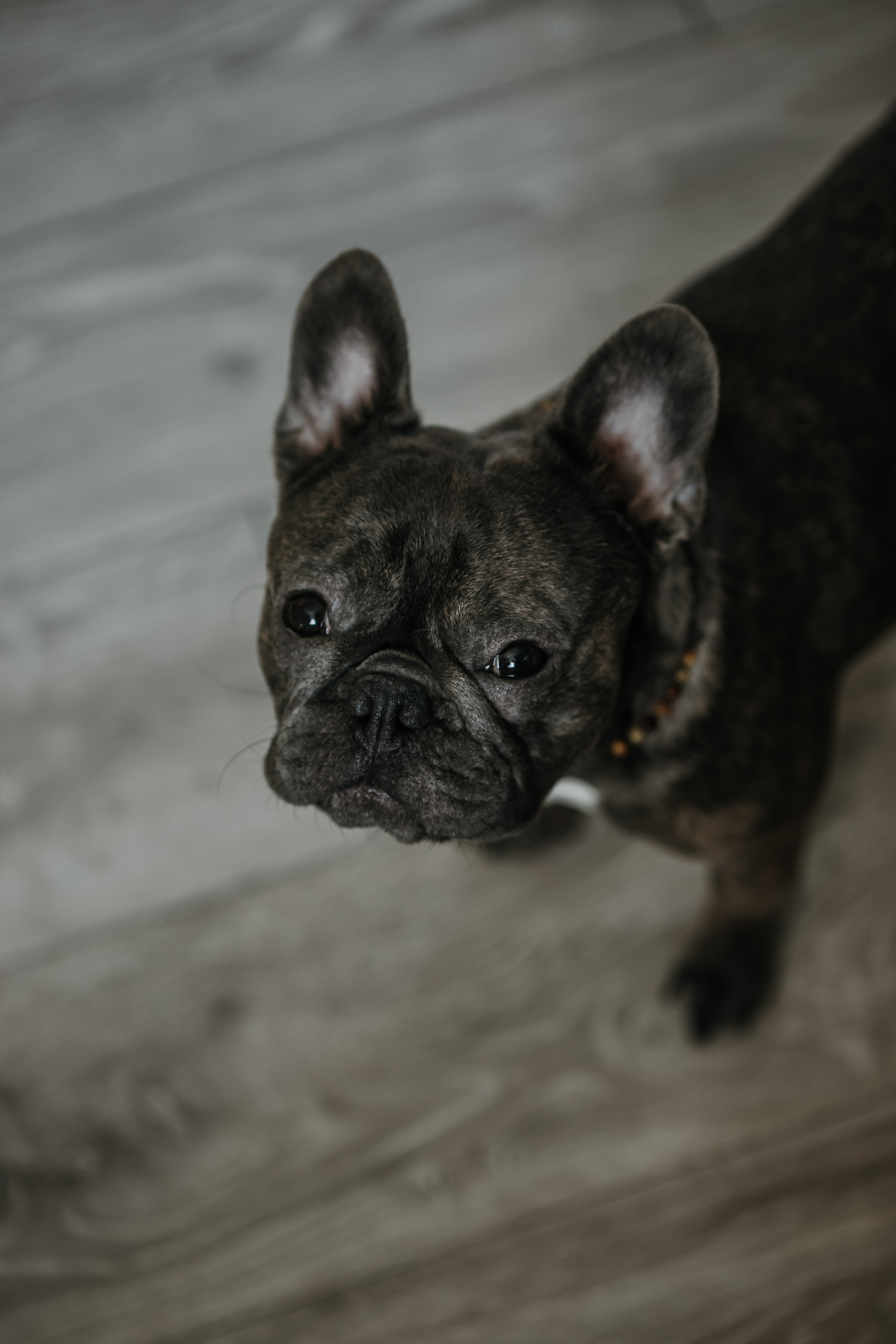 Radvilė & Paulius. Wedding, christening and family photographers in Vilnius, Lithuania