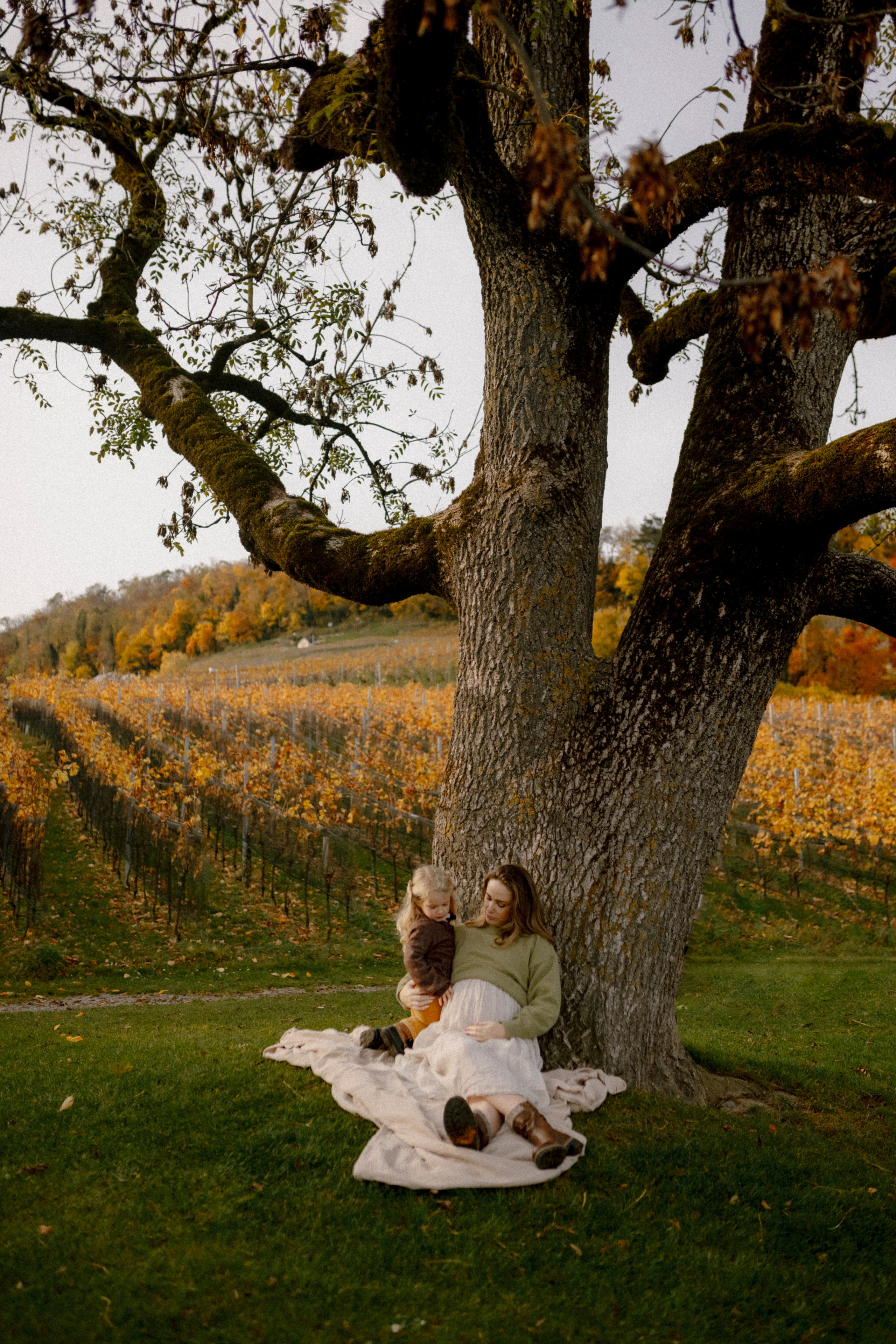 Under the Tree. Polina Sobol — family & documentary photographer in Bern. Outdoor & urban photo sessions for families, kids and couples