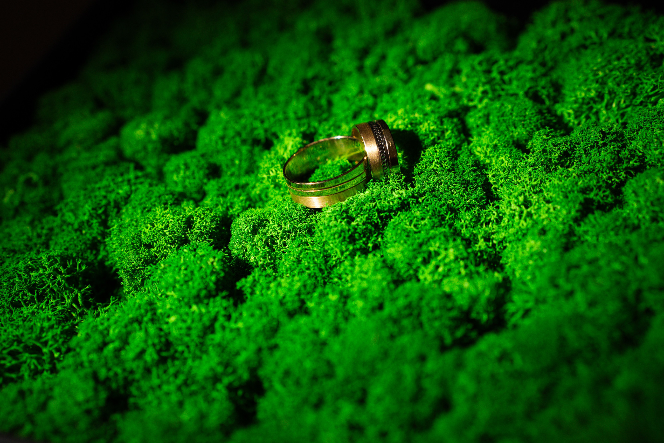 Bella & Adi. Foto Studio — Fotograf de evenimente, nunti, botezuri, portrete