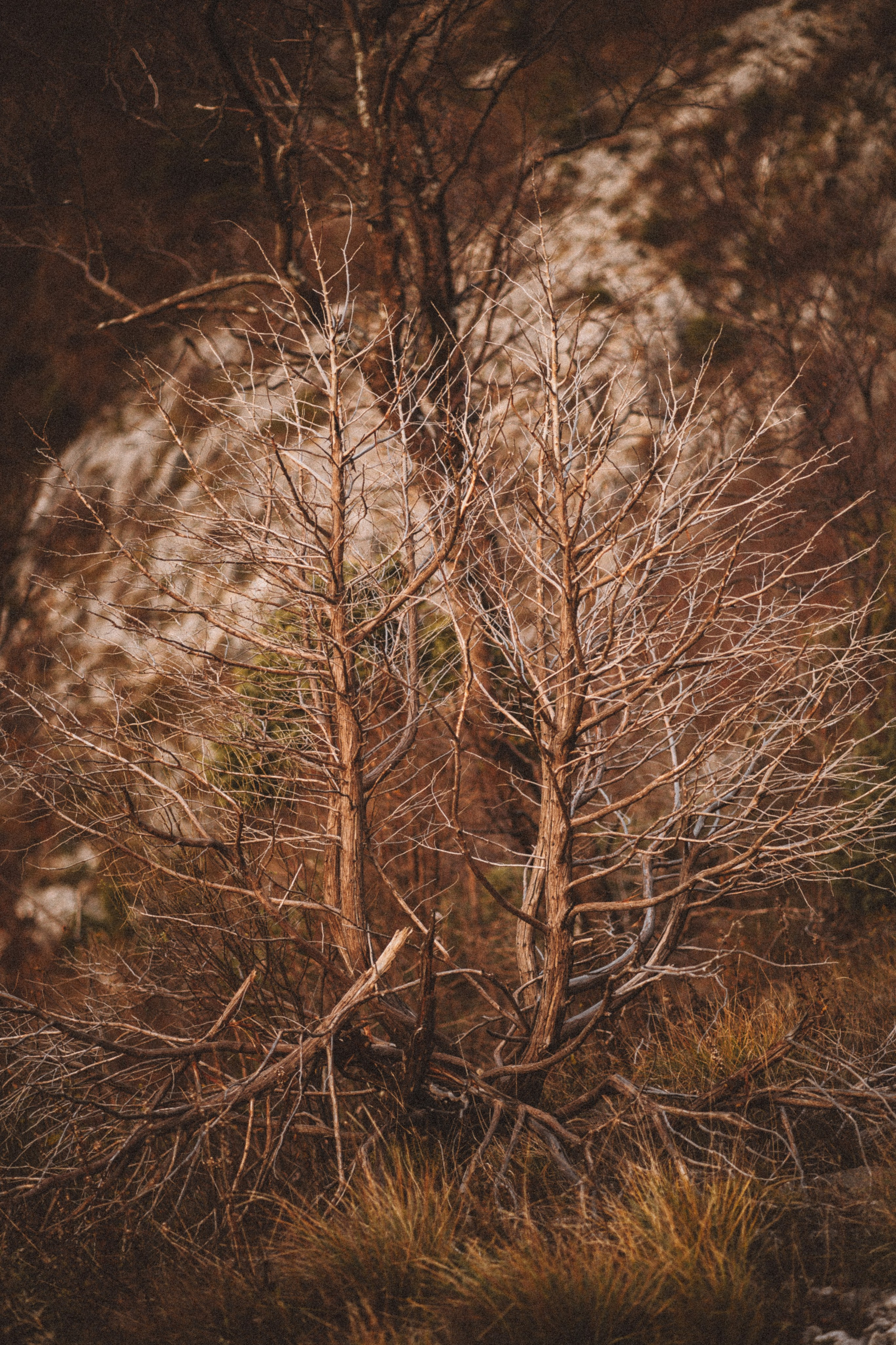 LANDSCAPE. PHOTOGRAPHER|VIDEOGRAPHER MONTENEGRO