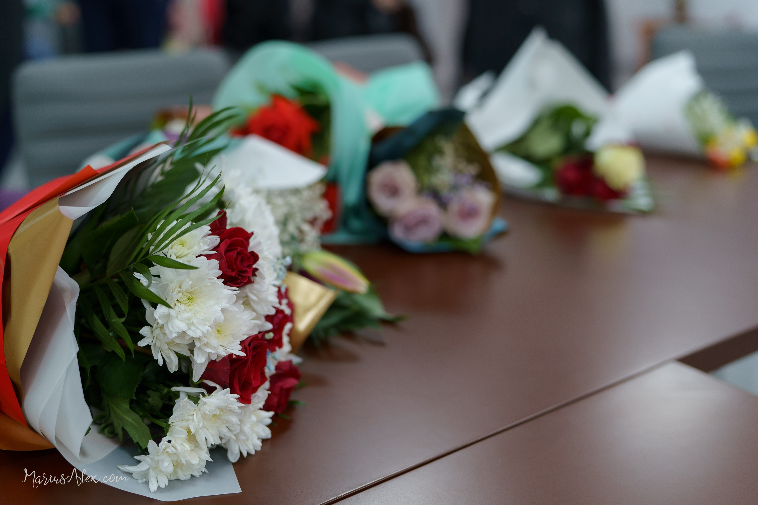 Daniela & Gabriel. Marius Alex fotograf de eveniment si portret din Suceava