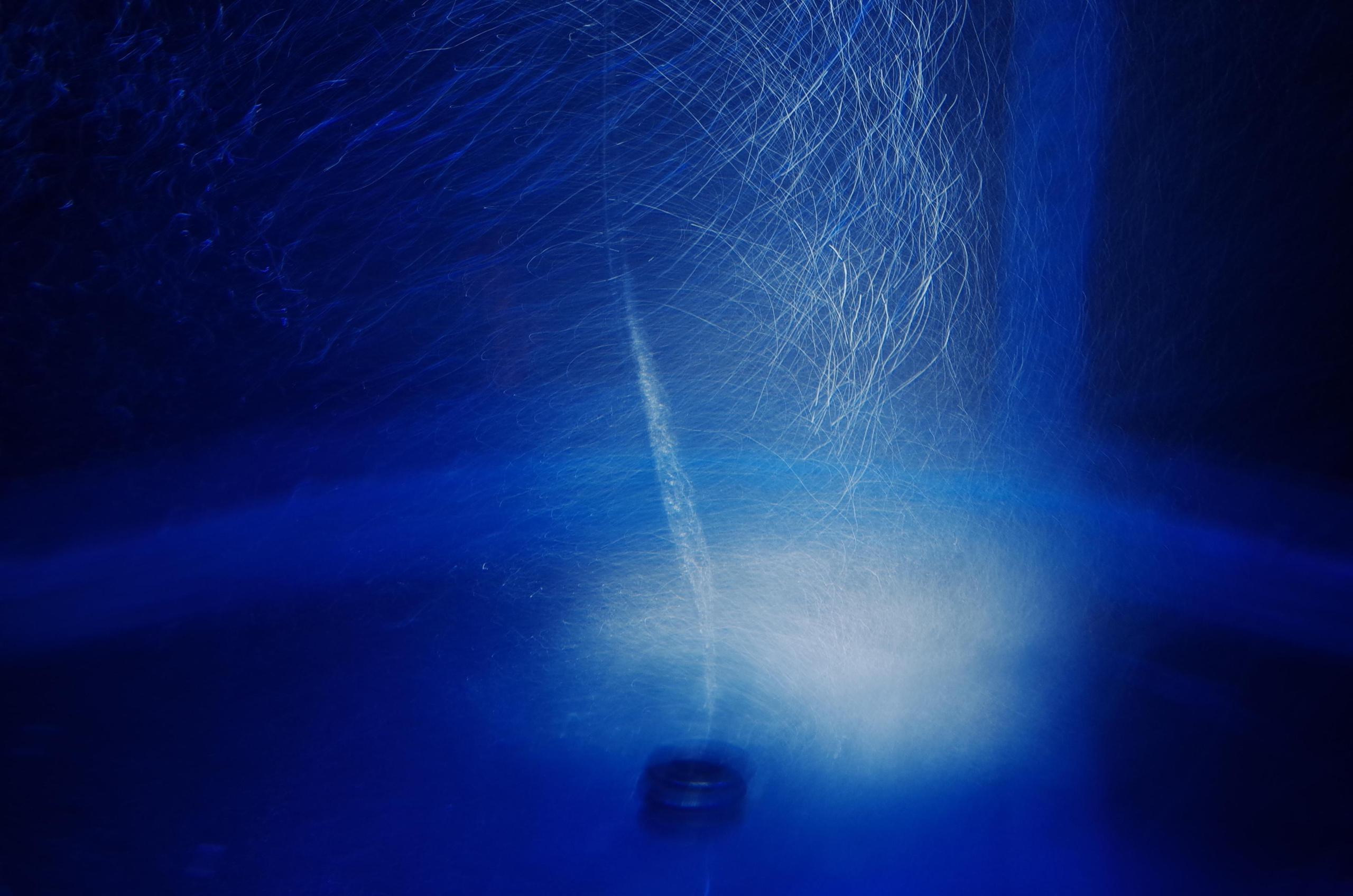 Виктория Дини. Арт-фотография