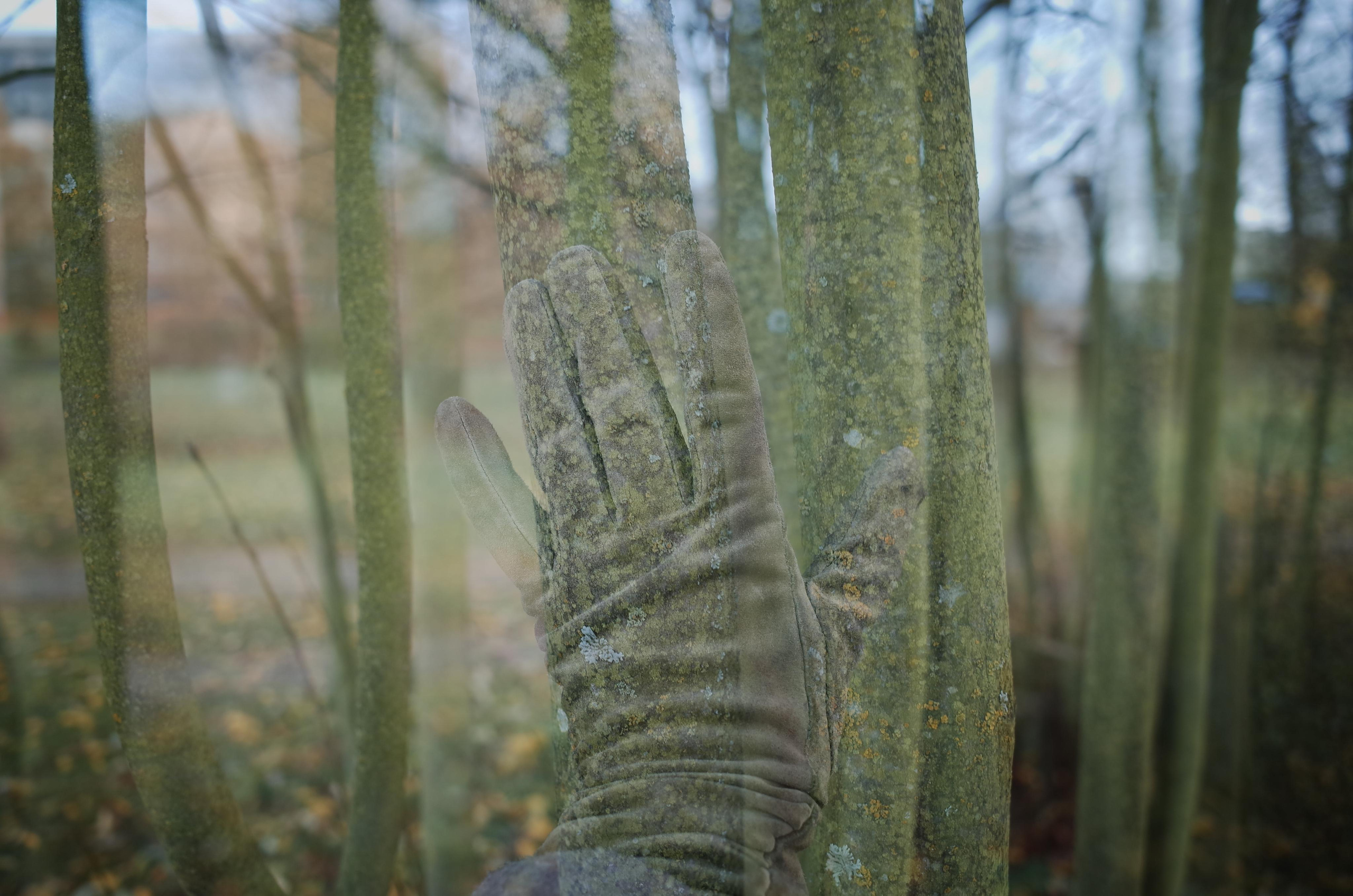 Виктория Дини. Арт-фотография