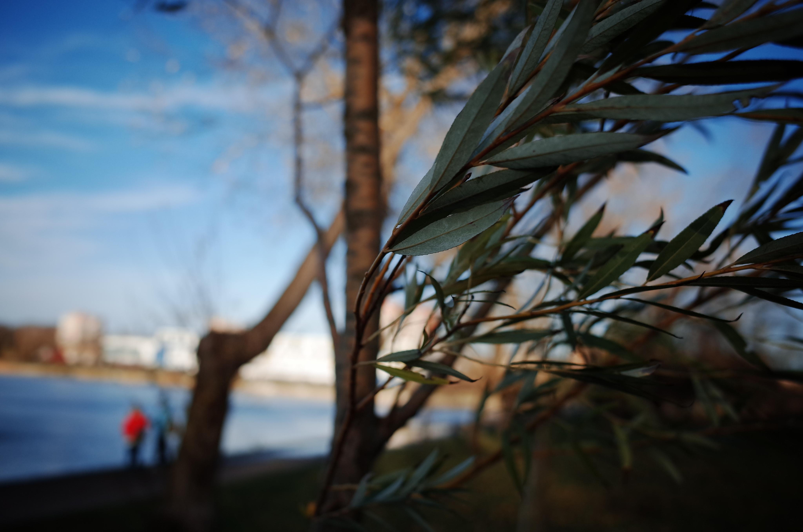 Виктория Дини. Арт-фотография