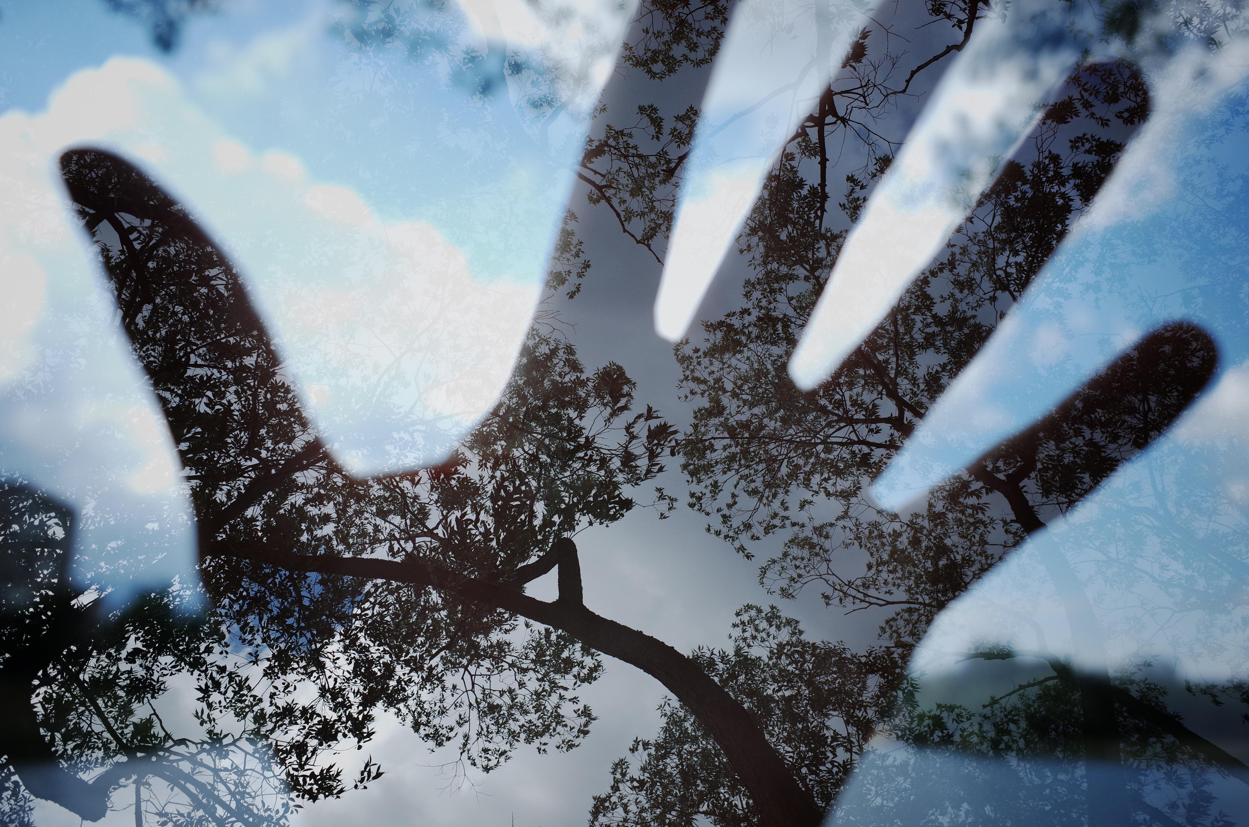 Виктория Дини. Арт-фотография