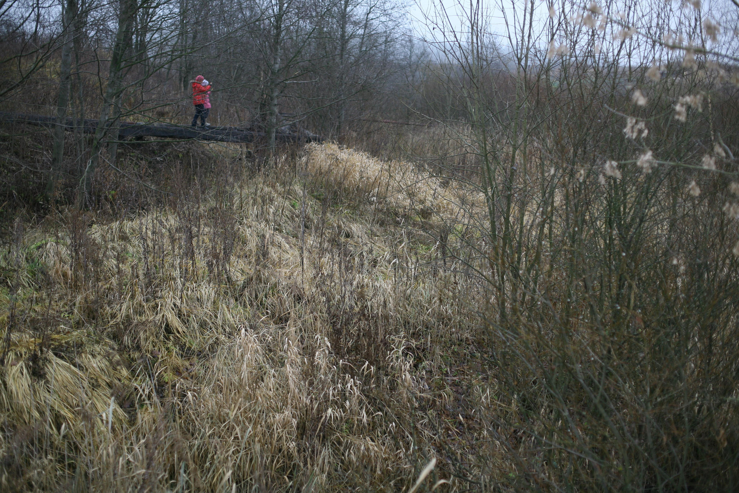 Виктория Дини. Арт-фотография