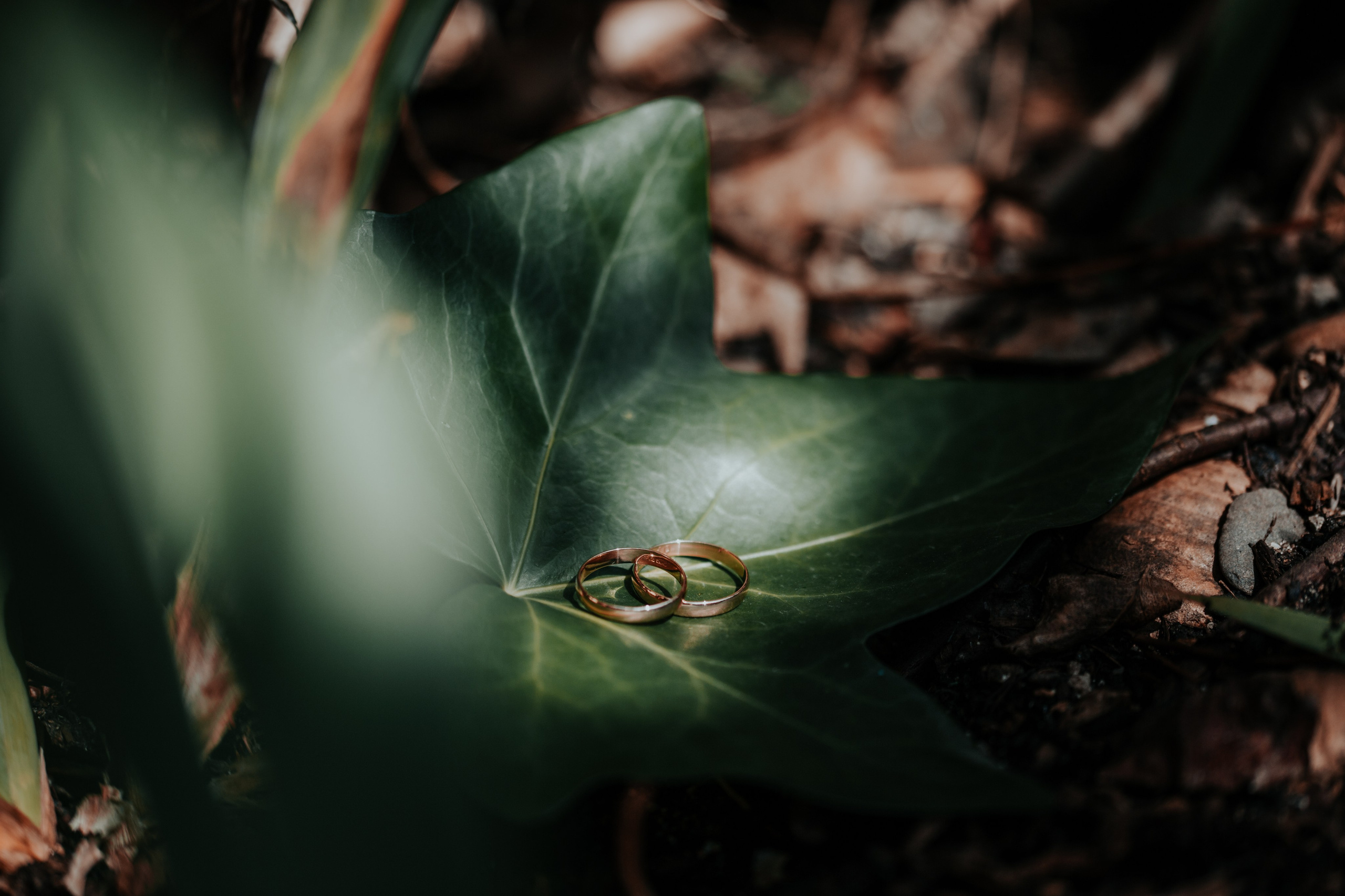 Fotografía de Bodas en Madrid - Rainbox: Capturamos Tu Amor con Pasión. Rainbox Estudio de Fotografía