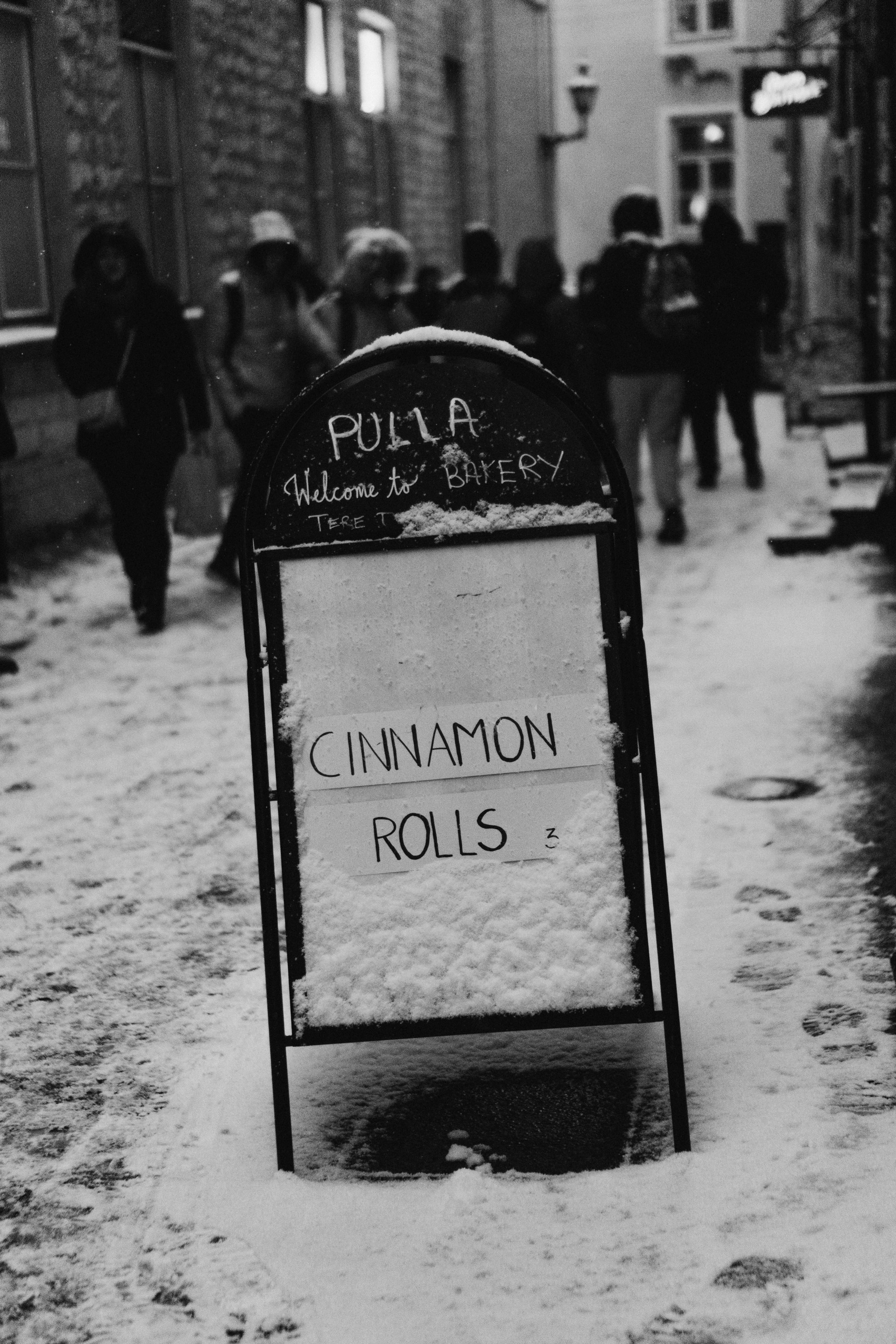 Dog Street Photography in Estonia. Kat Laisaar — Pet photographer in Tallinn