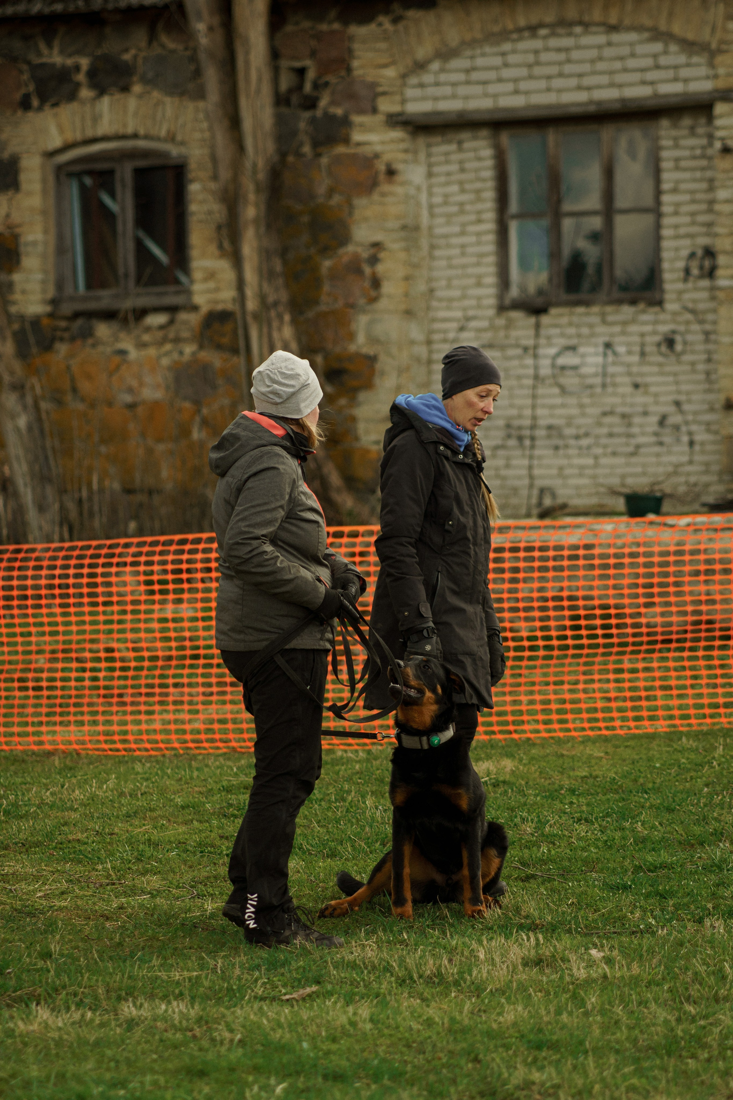 Herding Days, 26 apr. 2025. Kat Laisaar — Pet photographer in Tallinn
