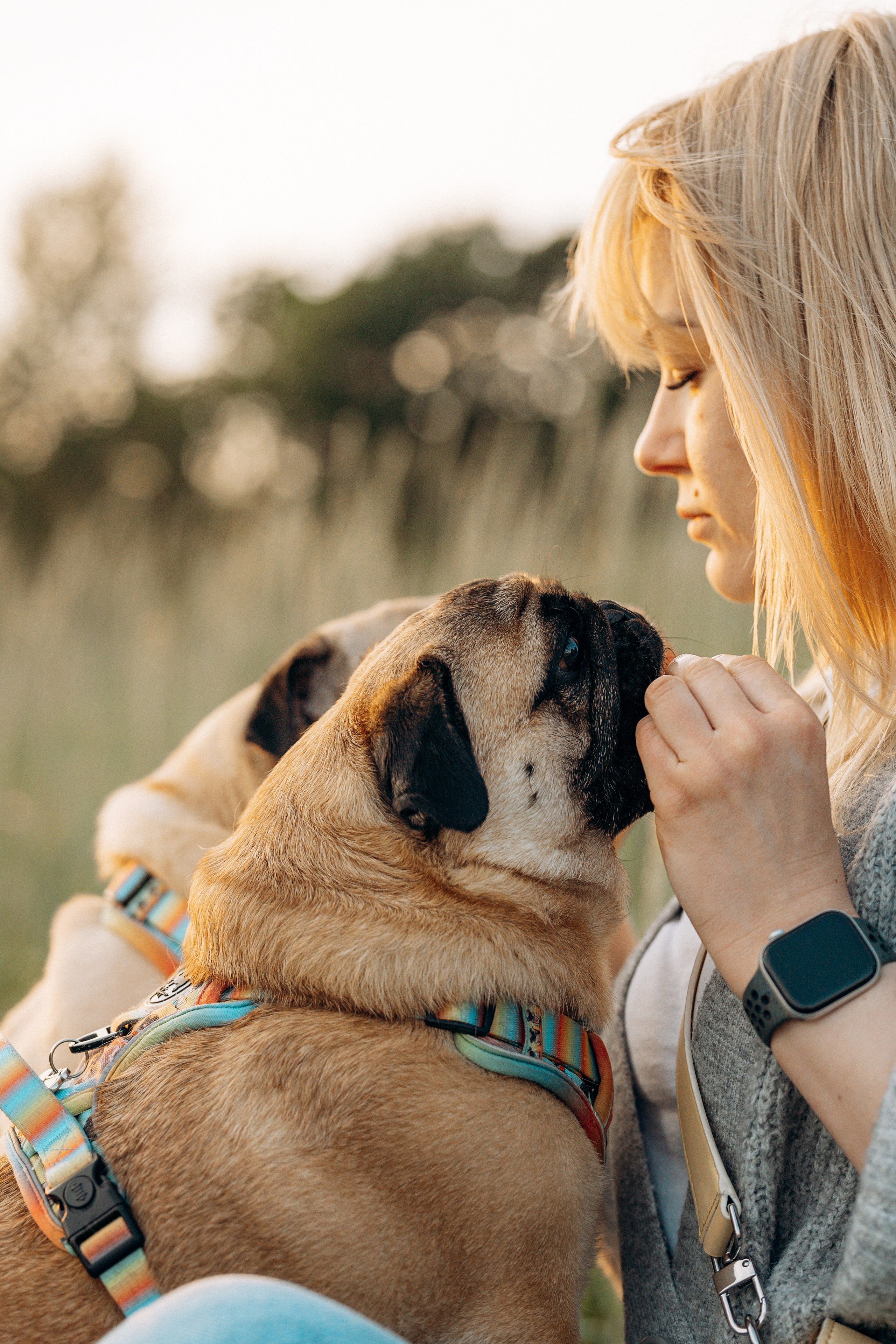Frank, Tony, Katerina & Lev. Kat Laisaar — Pet photographer in Tallinn
