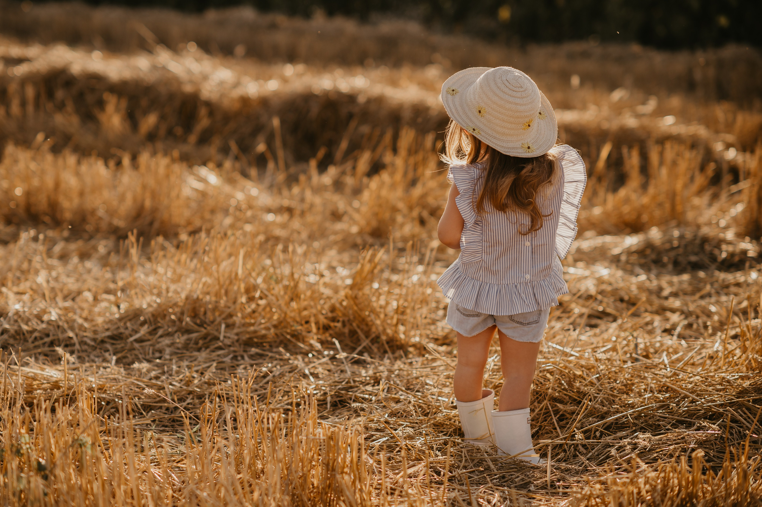 Polje suncokreta. Ana Sladojevic