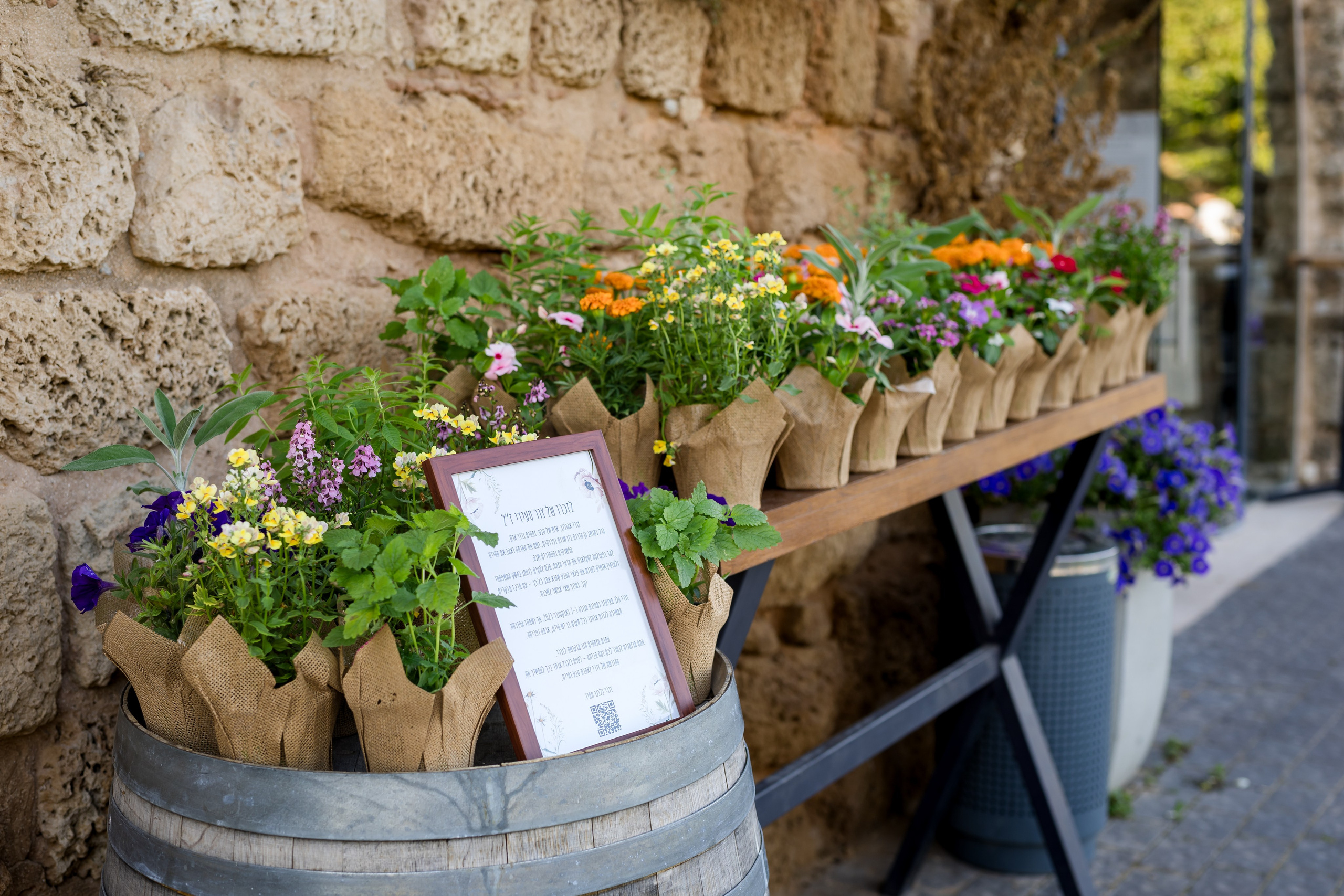 Tamar & Assaf. AMIR BUCHNIK PHOTOGRAPHER