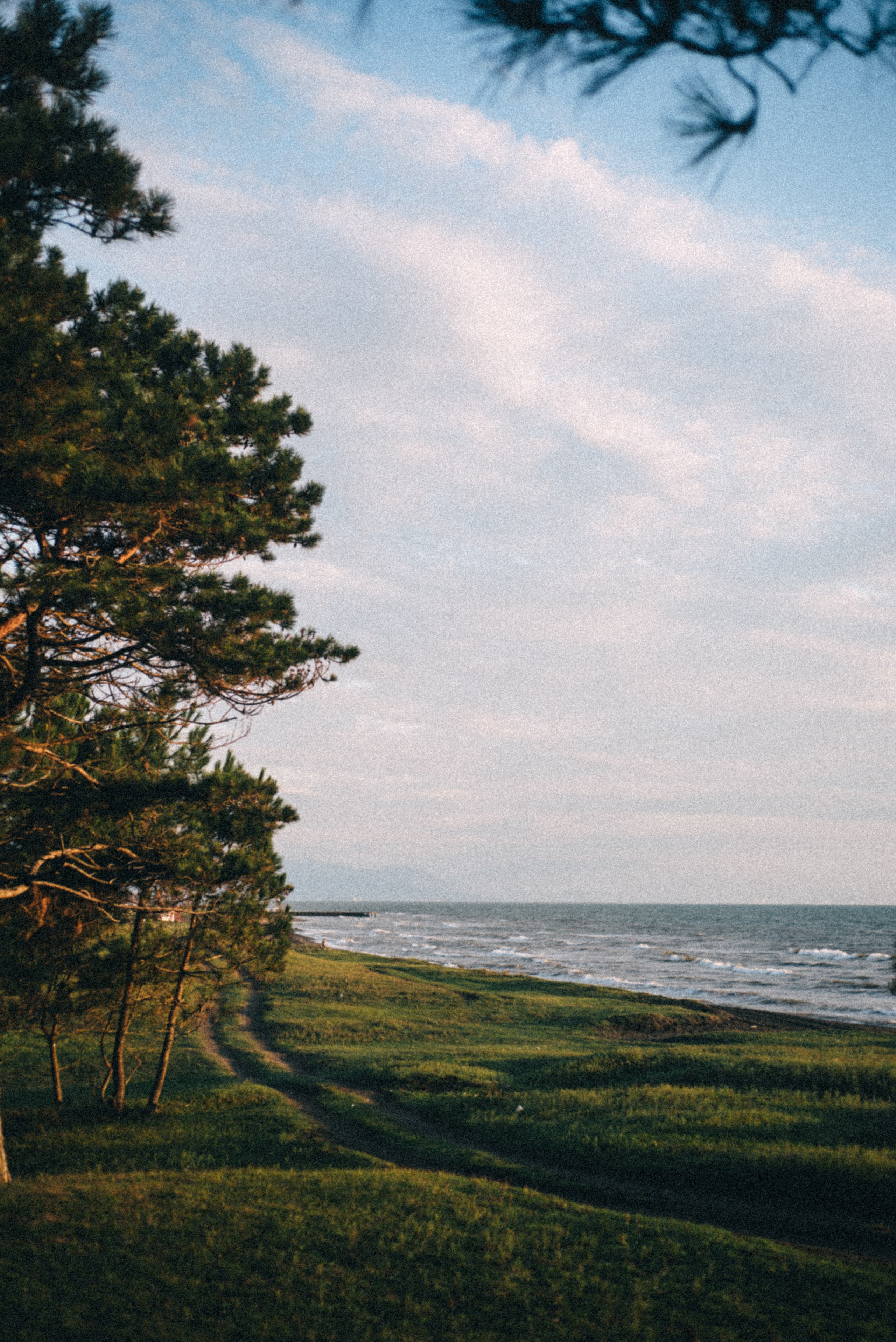 Адж. Anita_photo