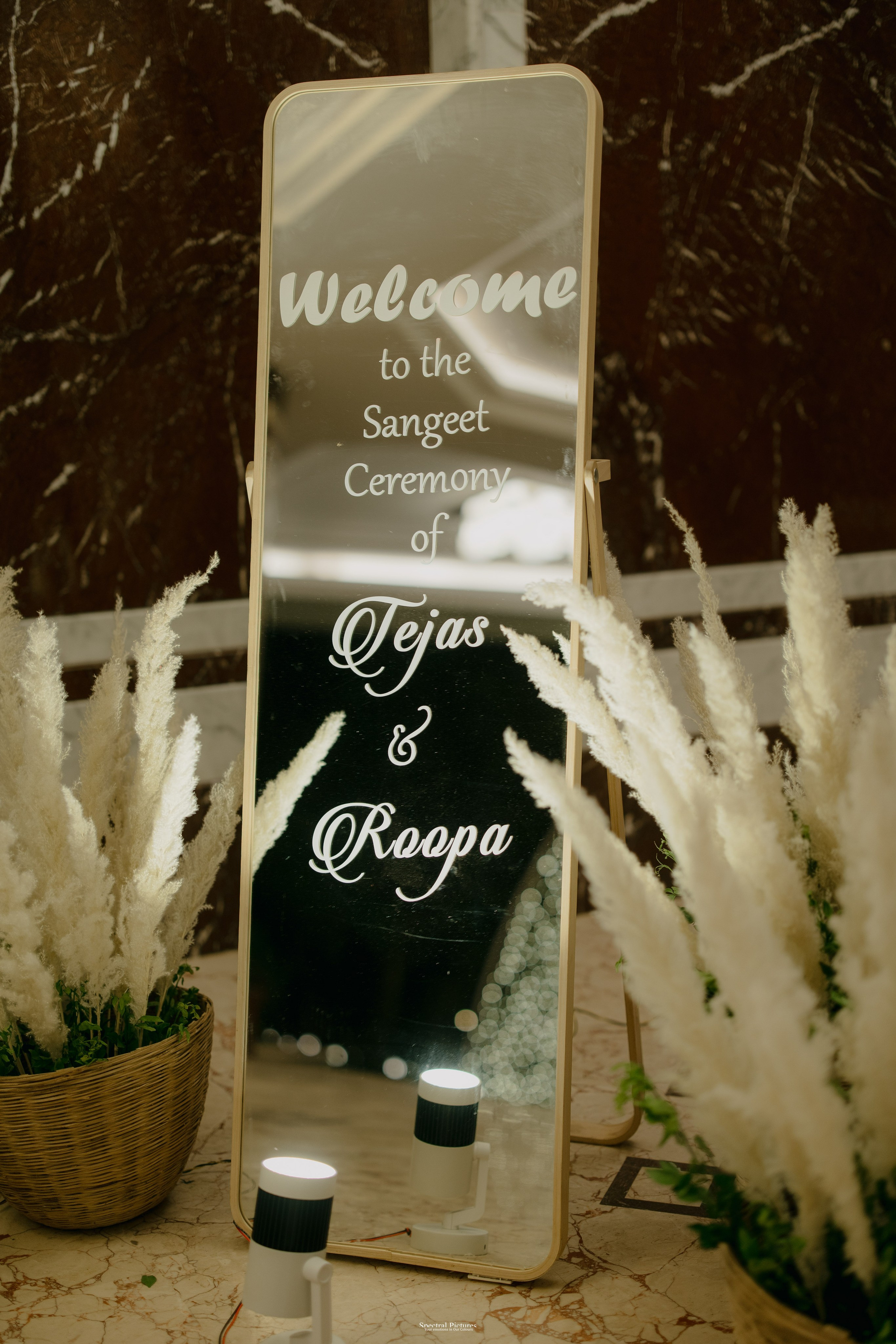 Tejas & Roopa | A Degree in Love, Certified by Marriage