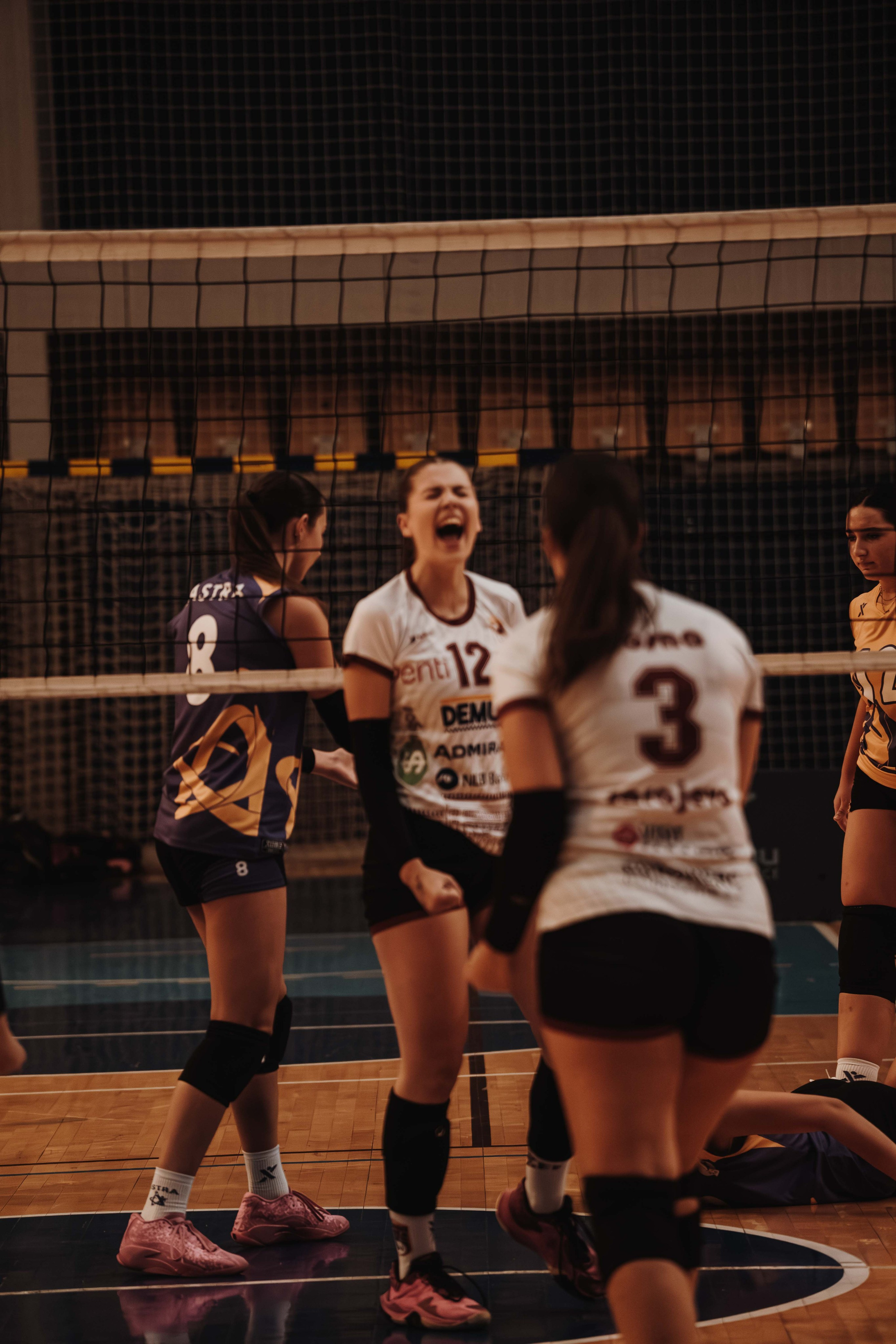 ŽOK Bosna — 2025/2026