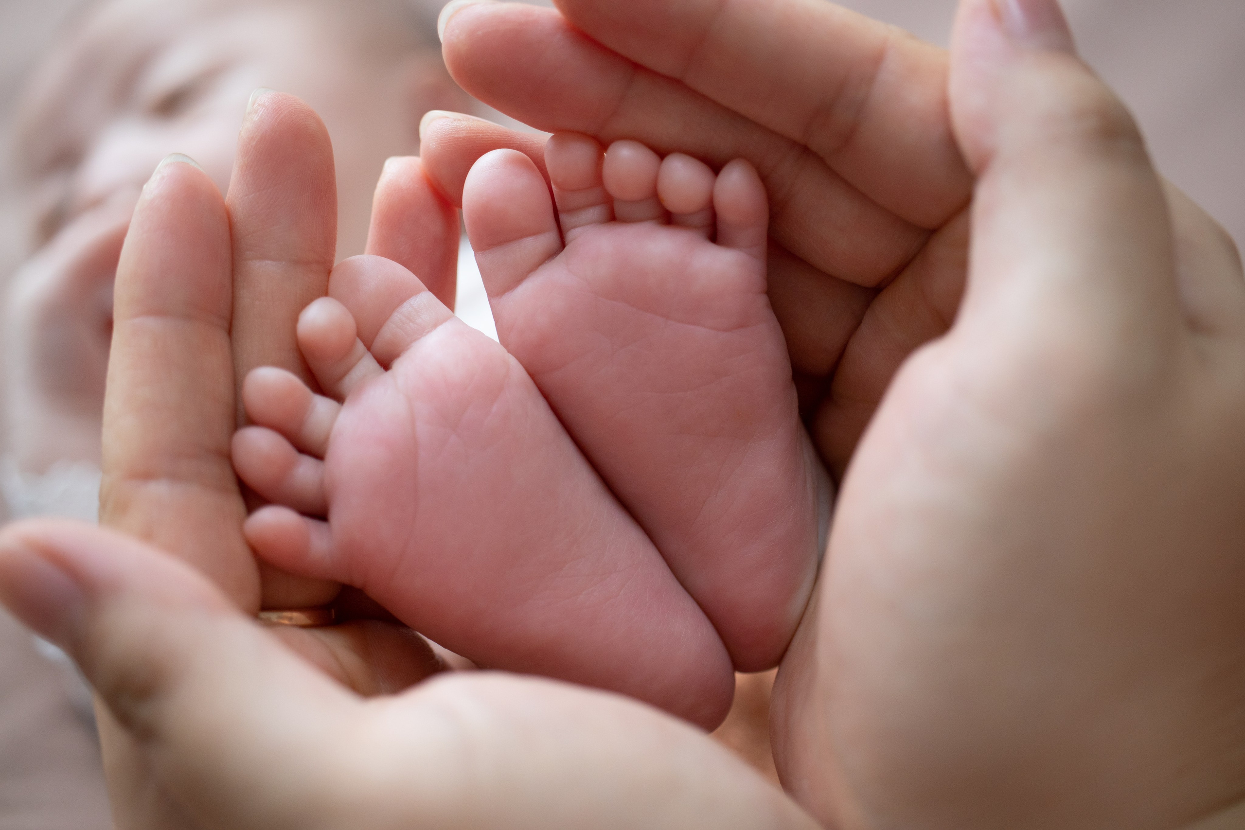 Алсу. Фотограф беременности, ньюборн и годовасиков в Корее Жанна Хан