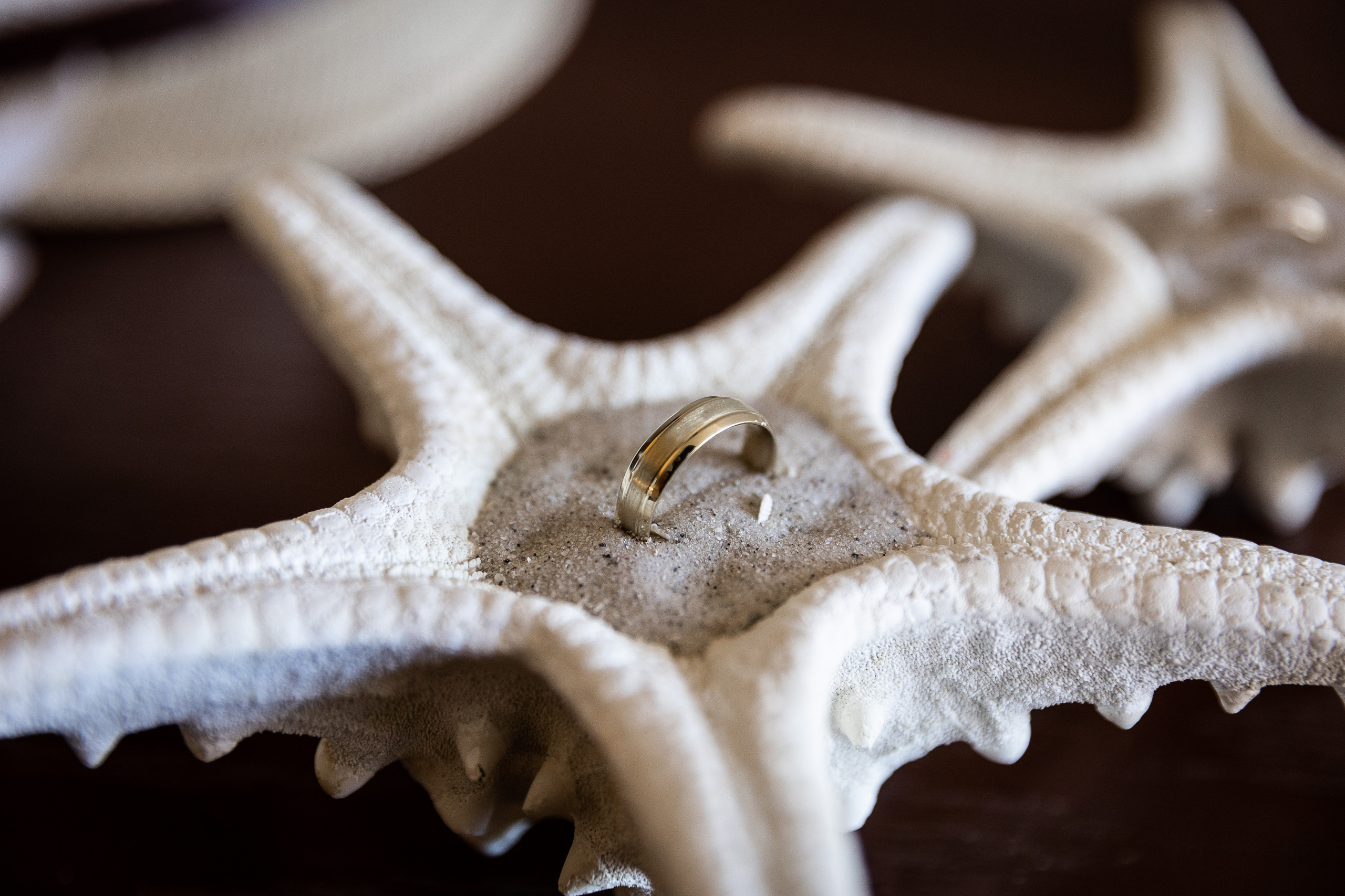 WEDDING GALLERY. Wedding Photography & Videography contenting in Tennessee and Florida