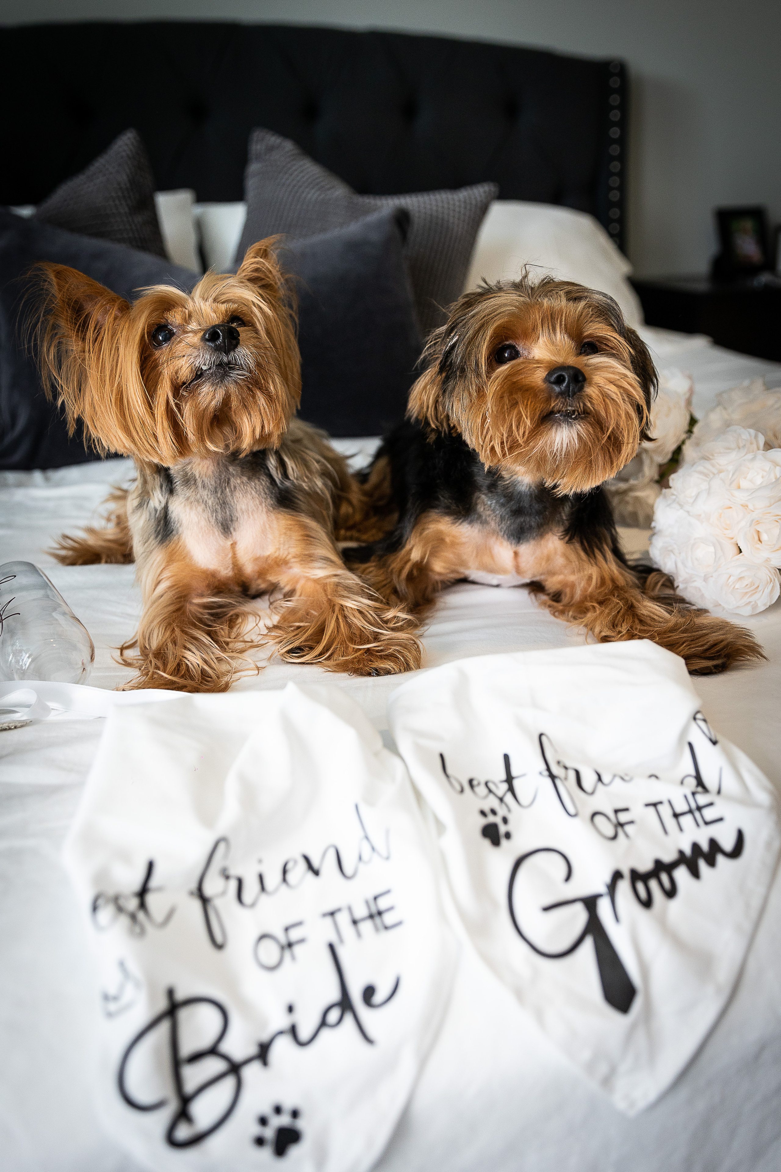 WEDDING GALLERY. Wedding Photography & Videography contenting in Tennessee and Florida