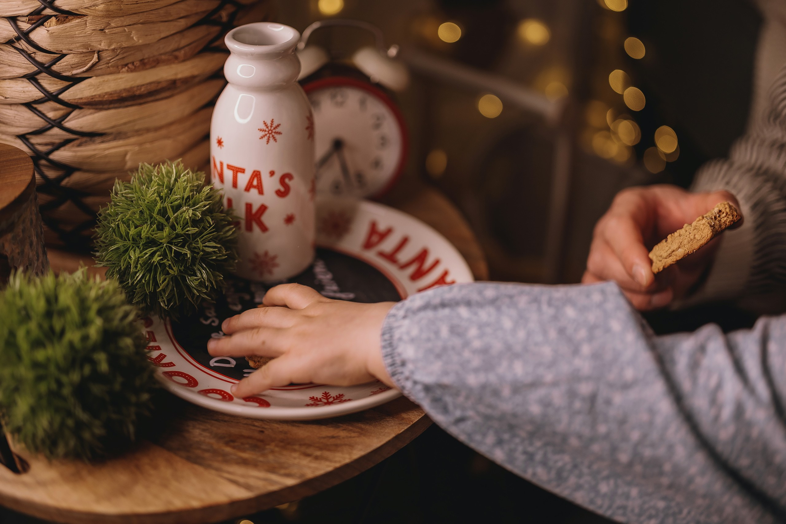 12.08.2025 Christmas Photoshoot. Wedding family event photographer in Chicago Nick Yushevich