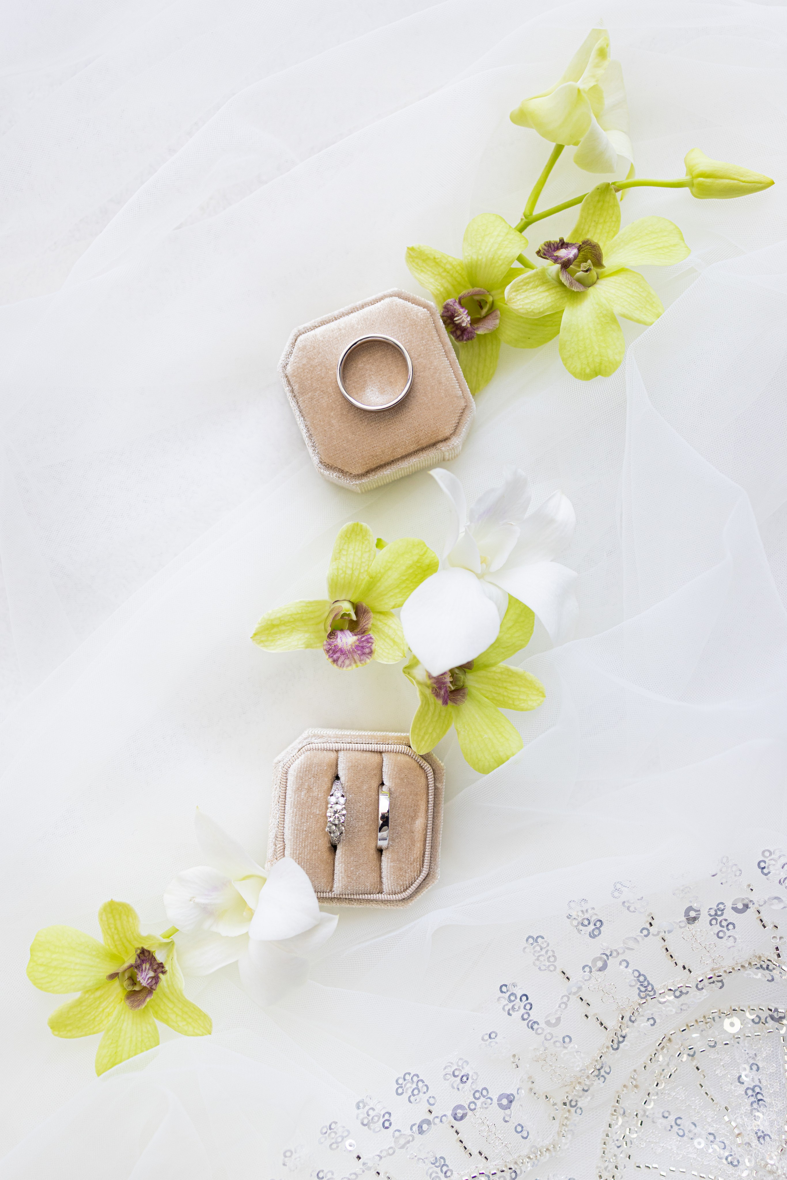 Daniella & Gurshum Wedding, Miami FL. Wedding Photo & Video