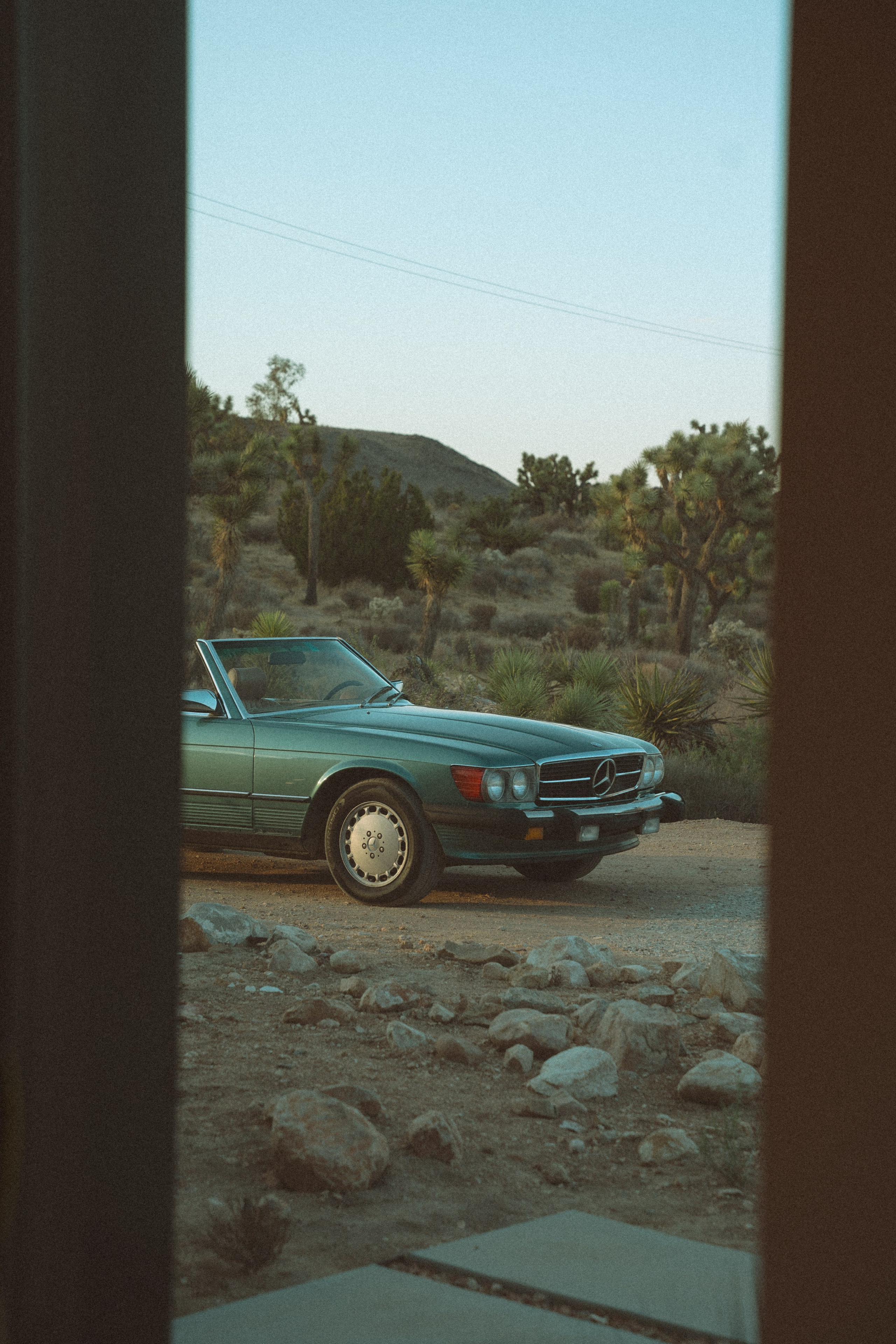 Joshua Tree wedding. Joshua tree elopement. Wedding for 2. Wedding photographer Joshua Tree. Elopement photographer in Joshua Tree. Couples photographer in Joshua Tree. Elopement in Joshua Tree