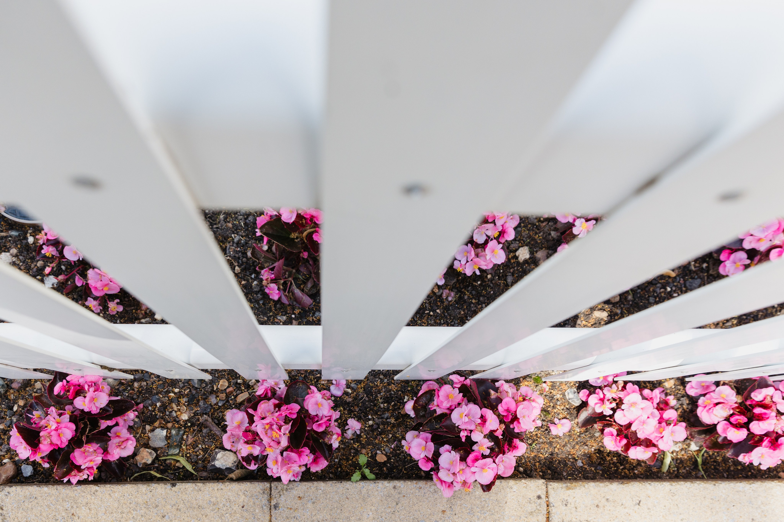 40th Birthday — Royal Windsor Racecourse. June, 2023. Timeless Wedding & Event Photography from London to the world