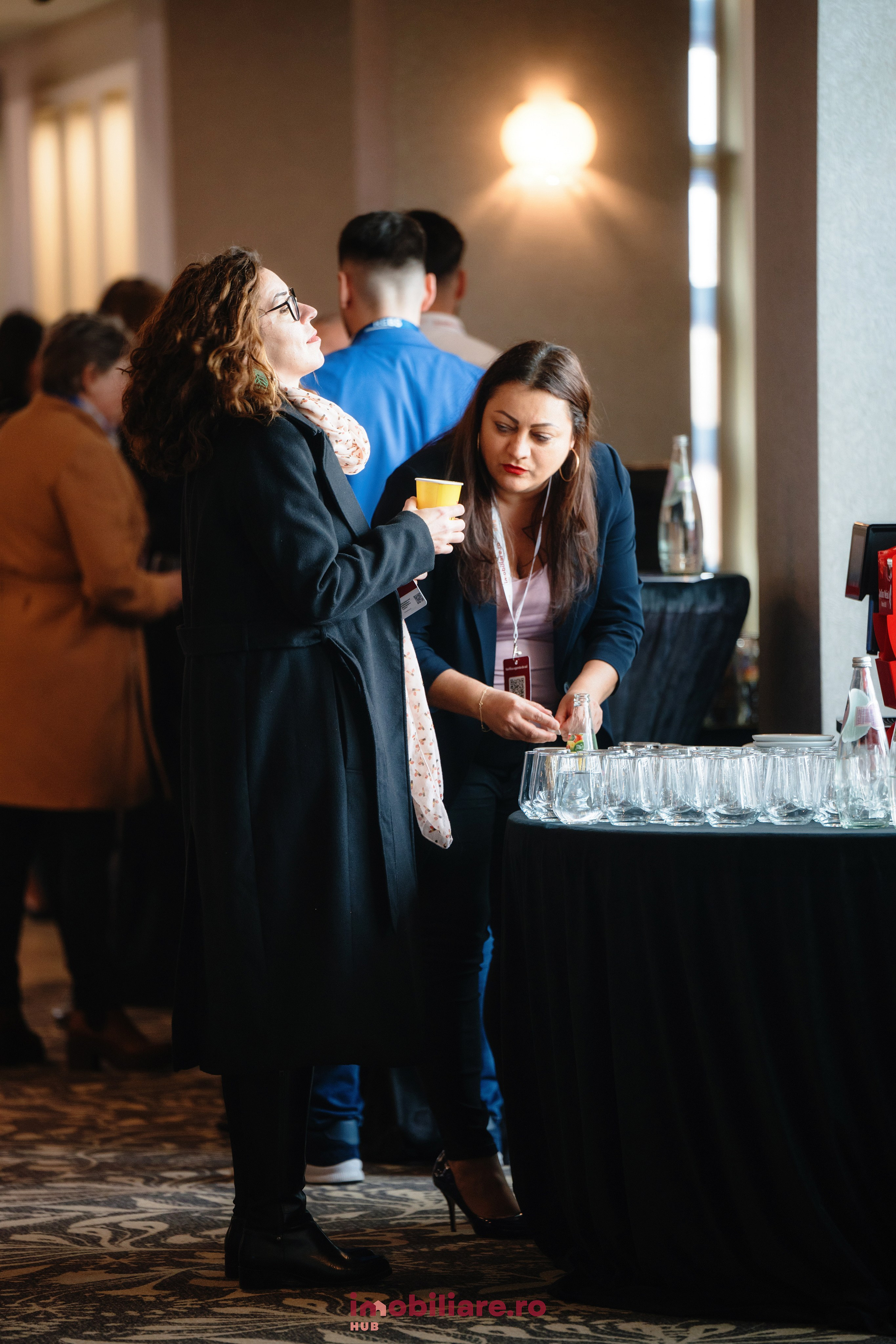 Imobliare HUB. Laurentiu Stefan StoryTeller