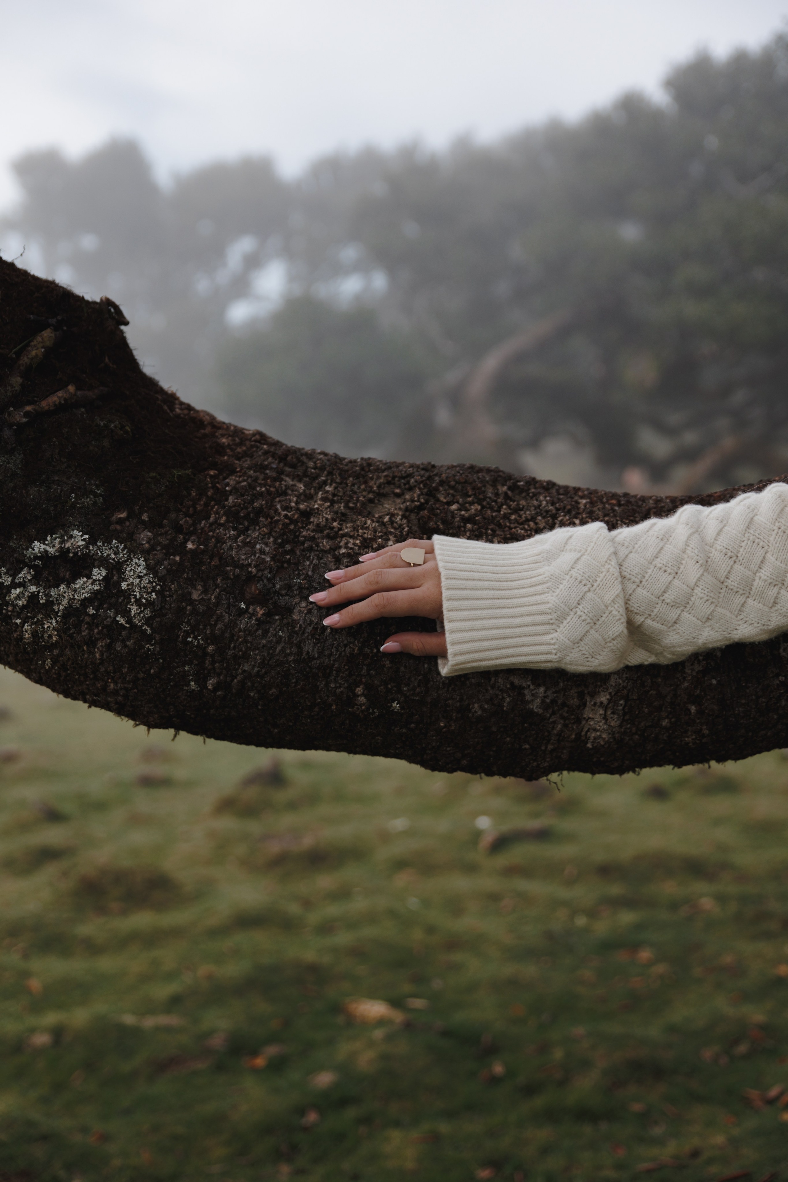 Lost in Madeira. Patricia Morenci — Mountain Adventures for the Wild at Heart