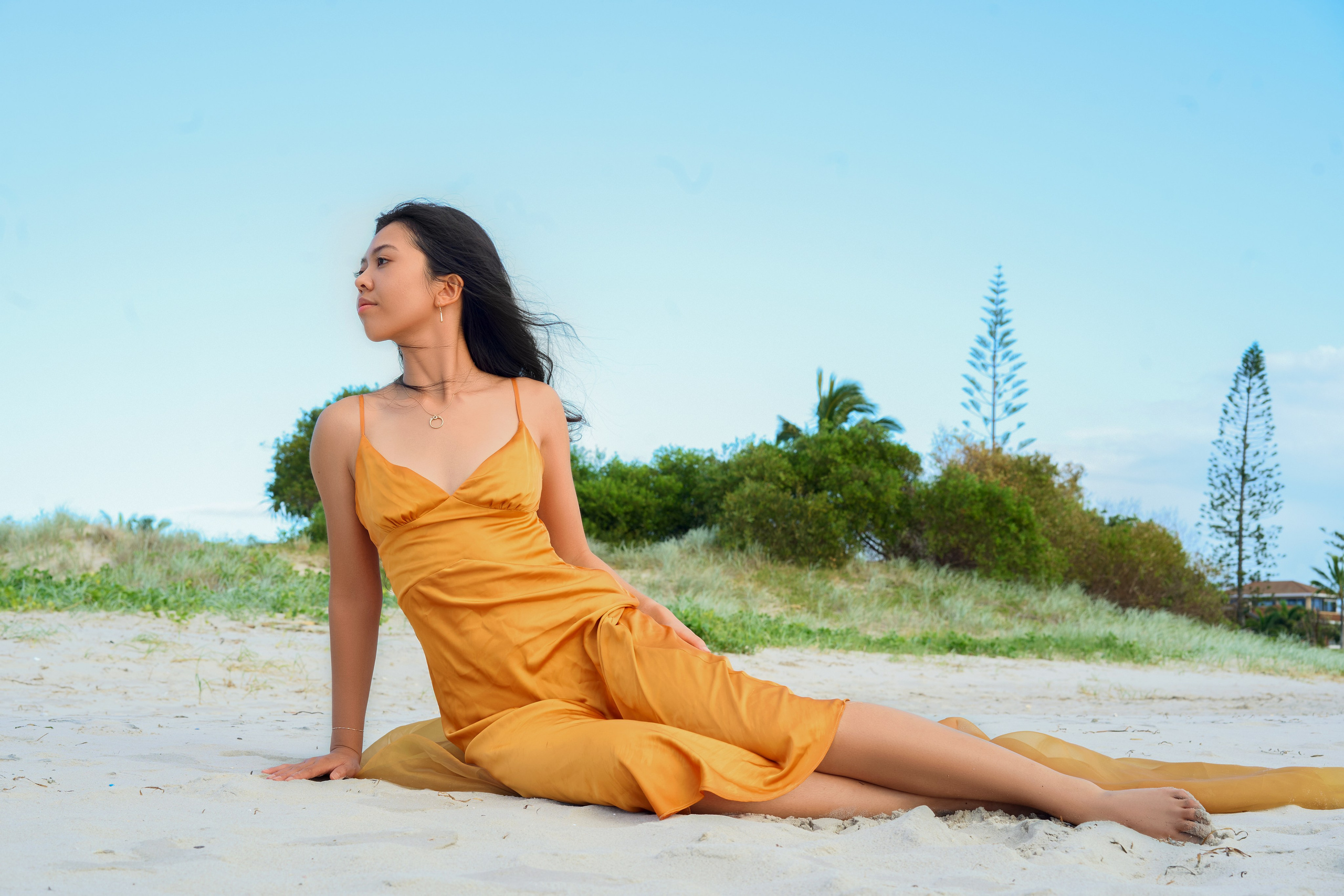 Sofia Valdez. Welcome!