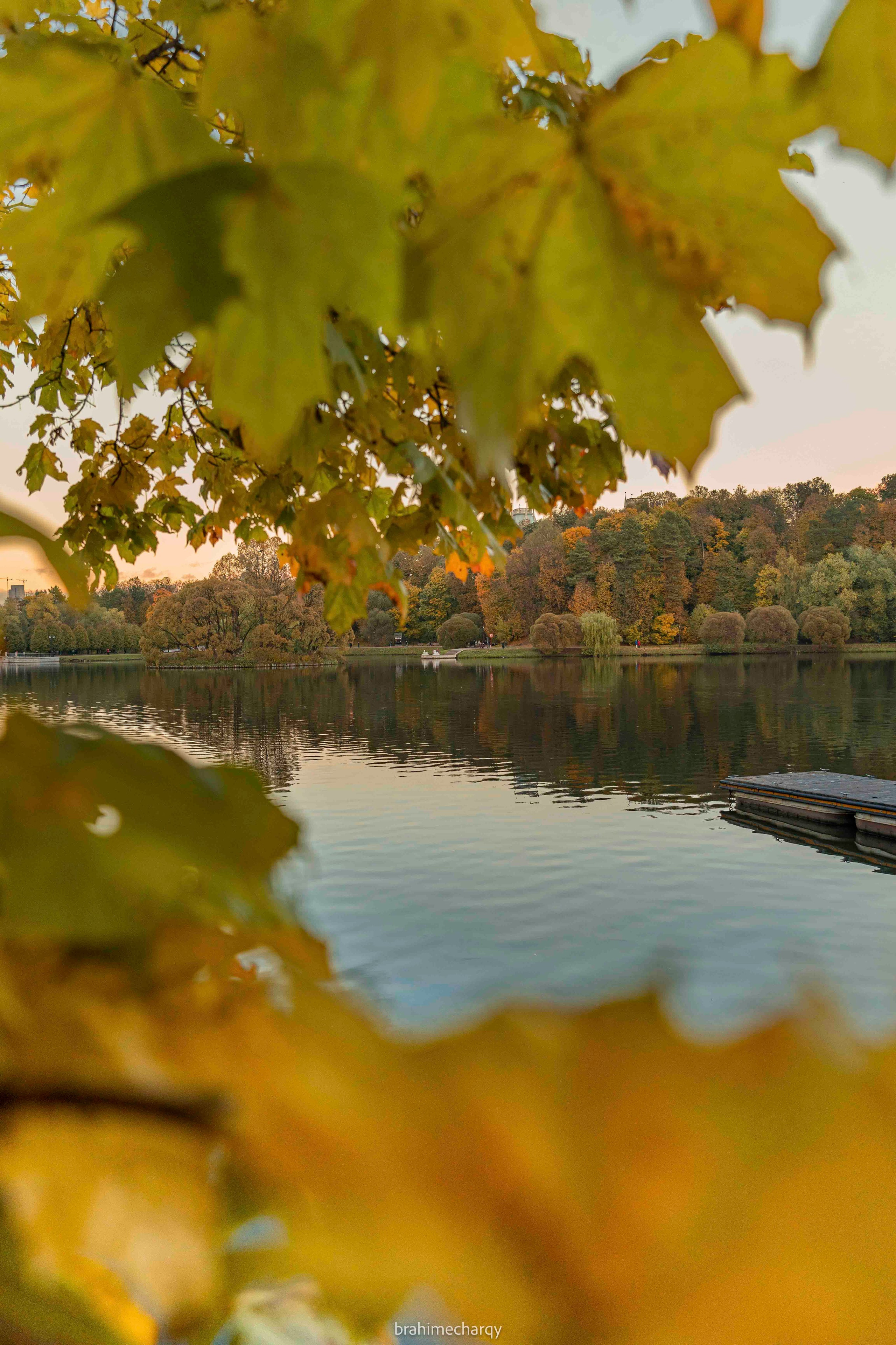 Фото. Брахим — фотограф