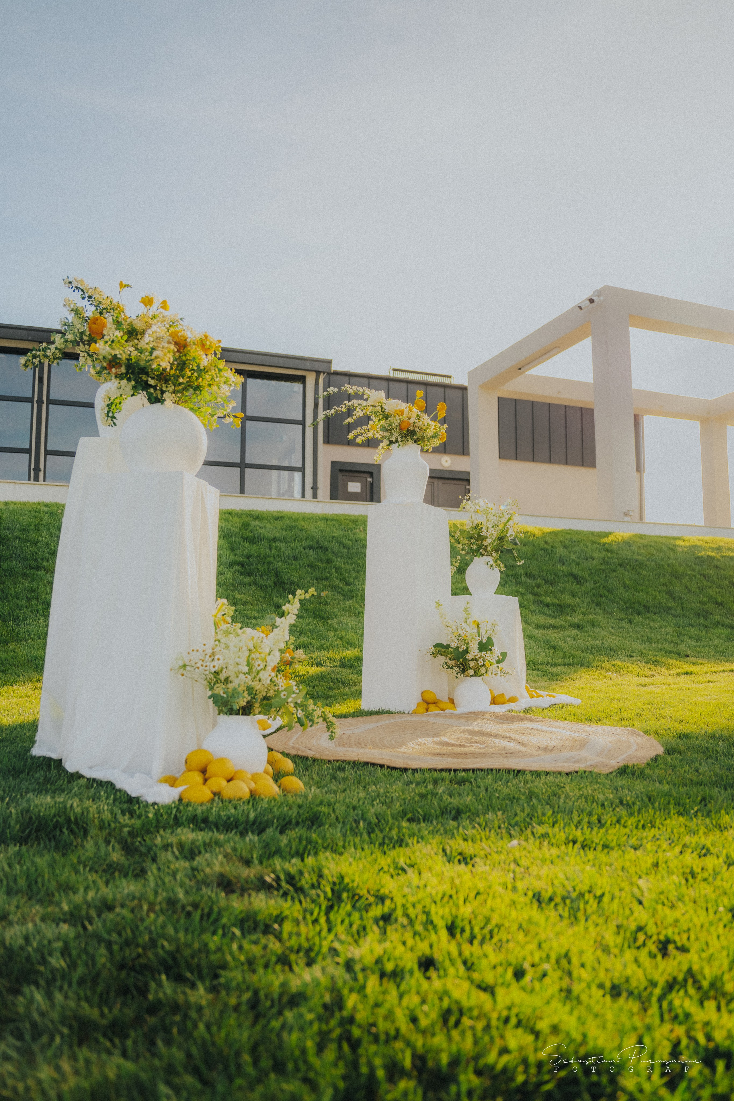 Love & Lemons. Sebastian Purusniuc Fotograf - Iasi