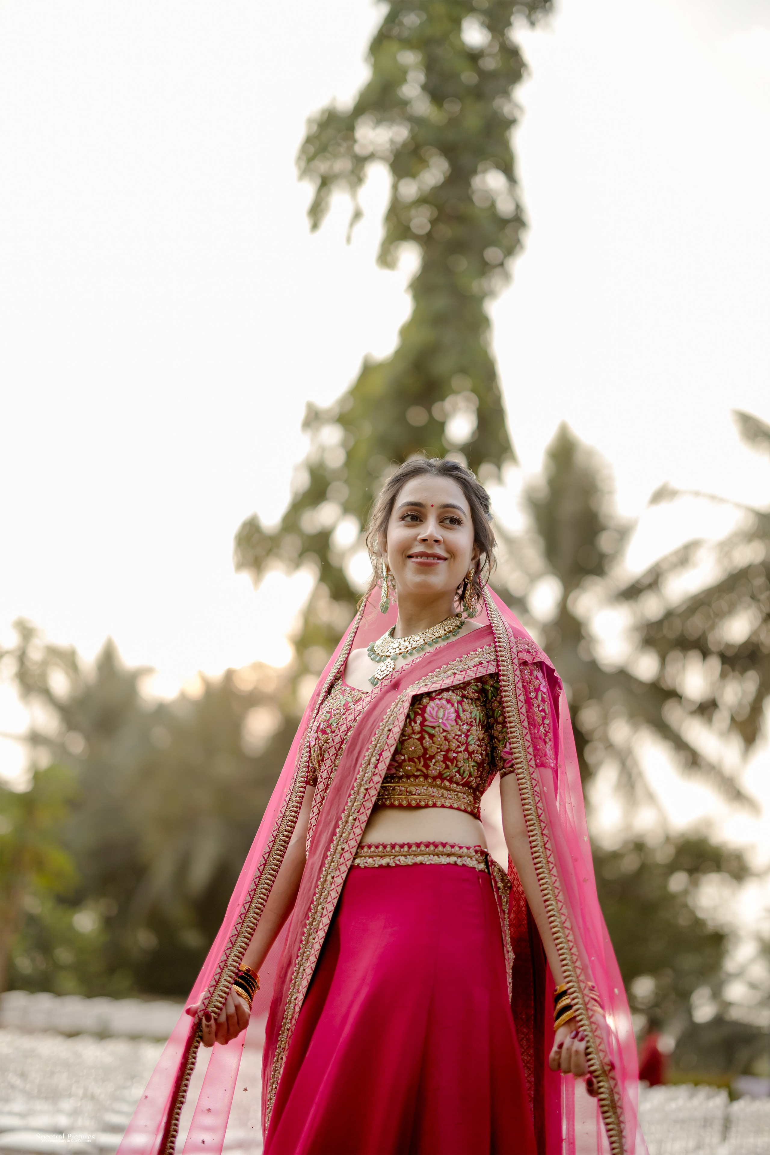 Tanvi & Neil | Wedding