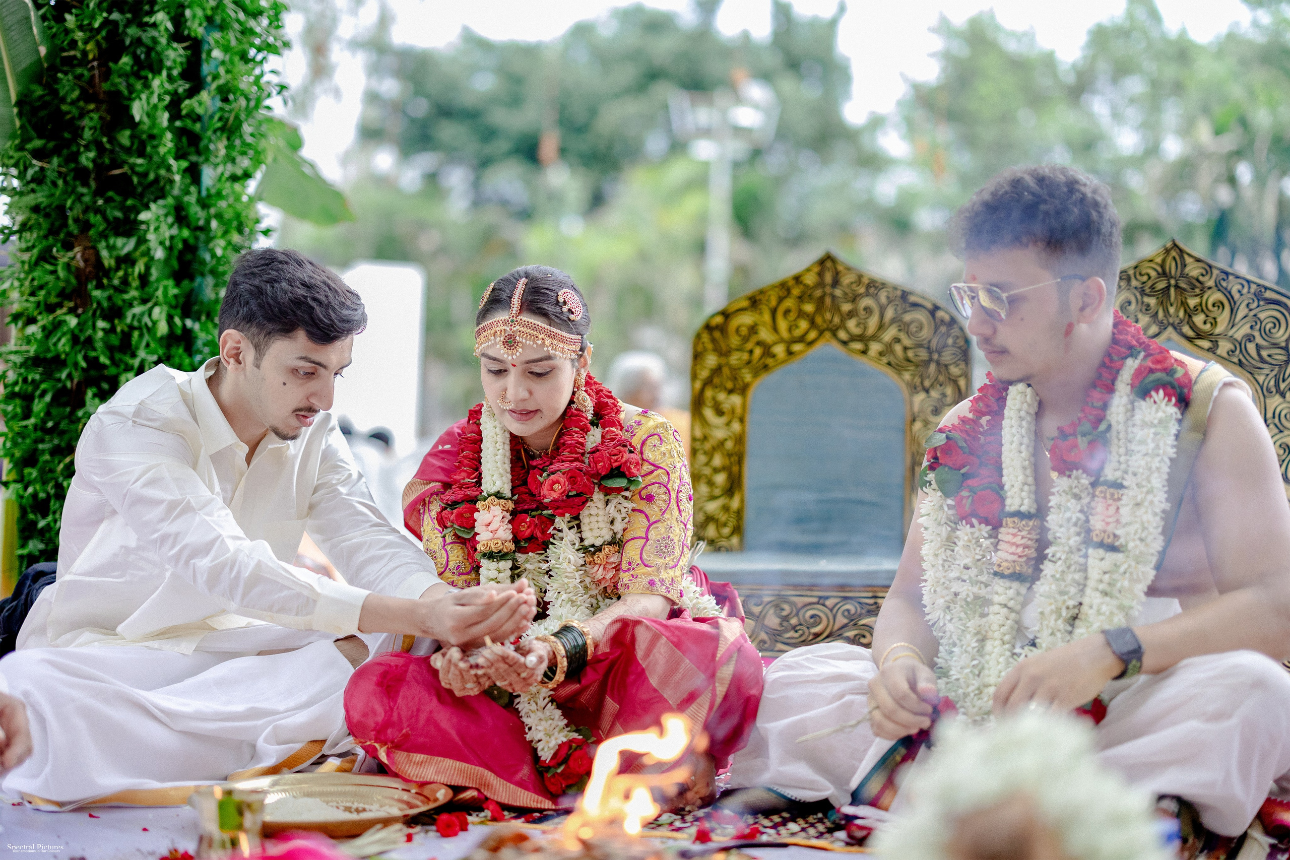 “Bob’s Bar to The Big Day — Starring Amulya & Aditya”