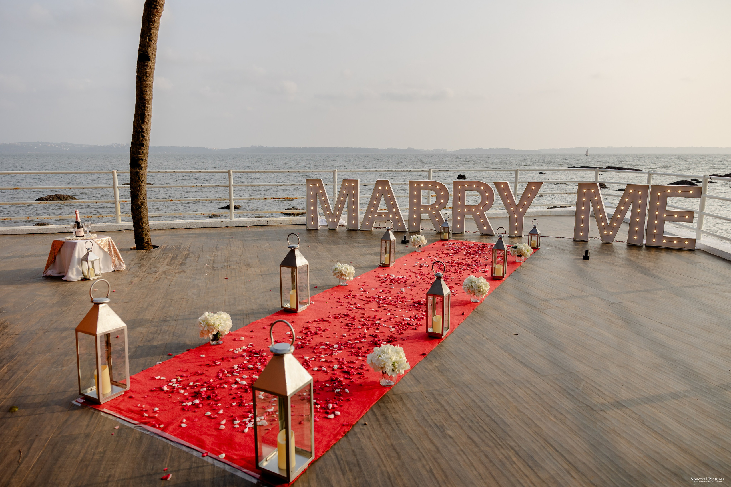 Purva & Tarun | Proposal