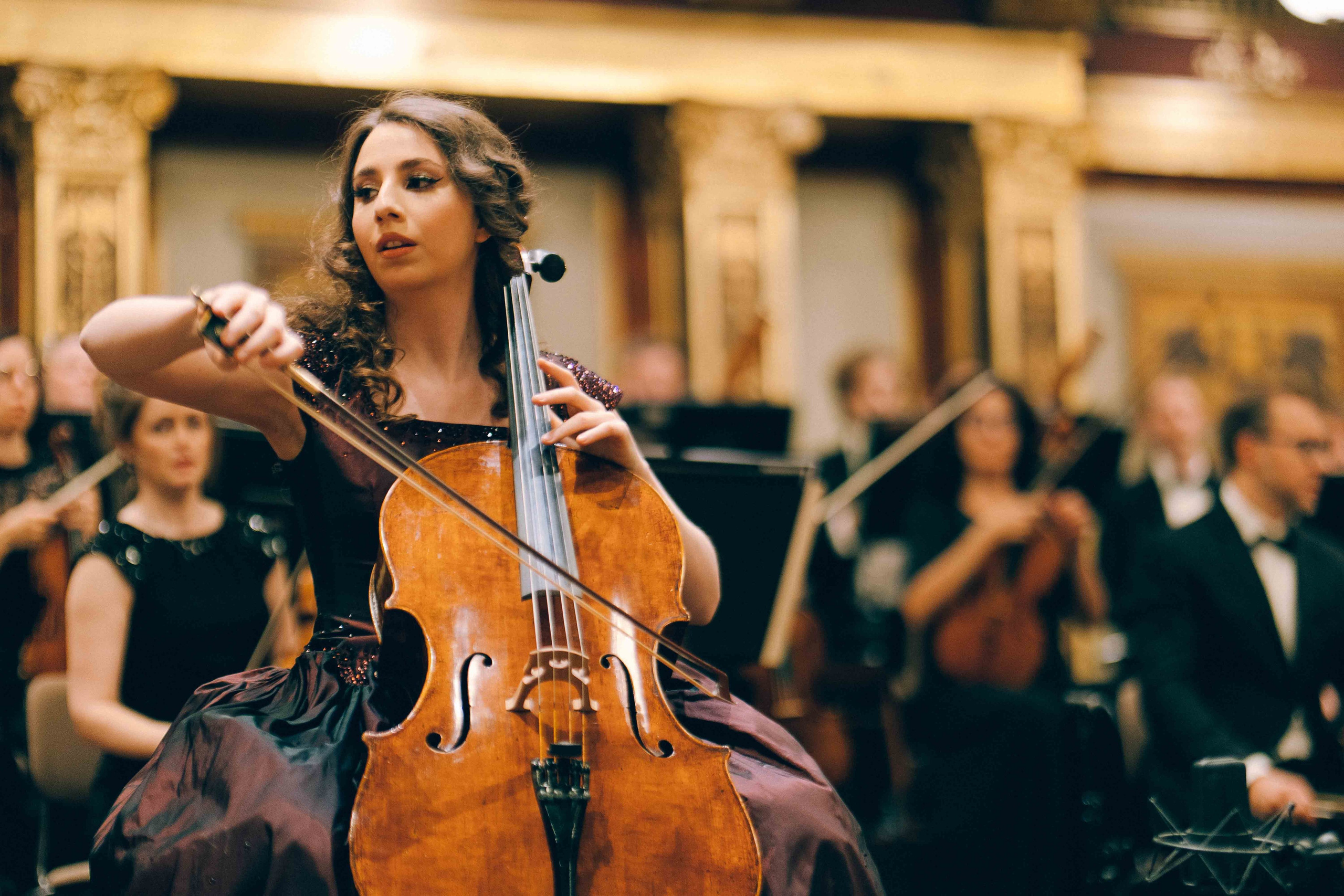 MUSIKVEREIN (VIENNA). Wedding&Event photographer Ismail Rzayev in Baku