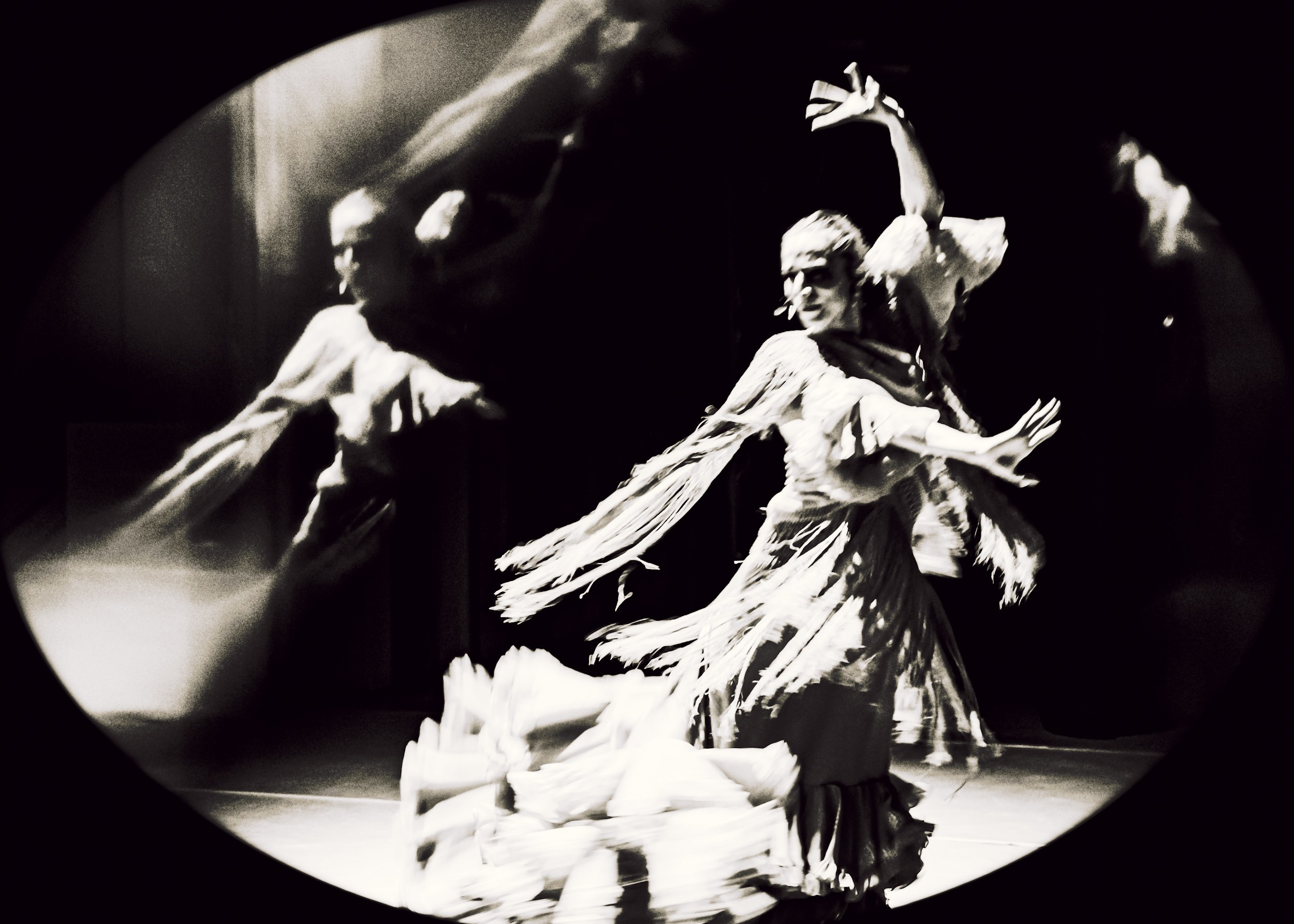 Flamenco spots. Ekaterina Tsurkina-Appina Photography Canada