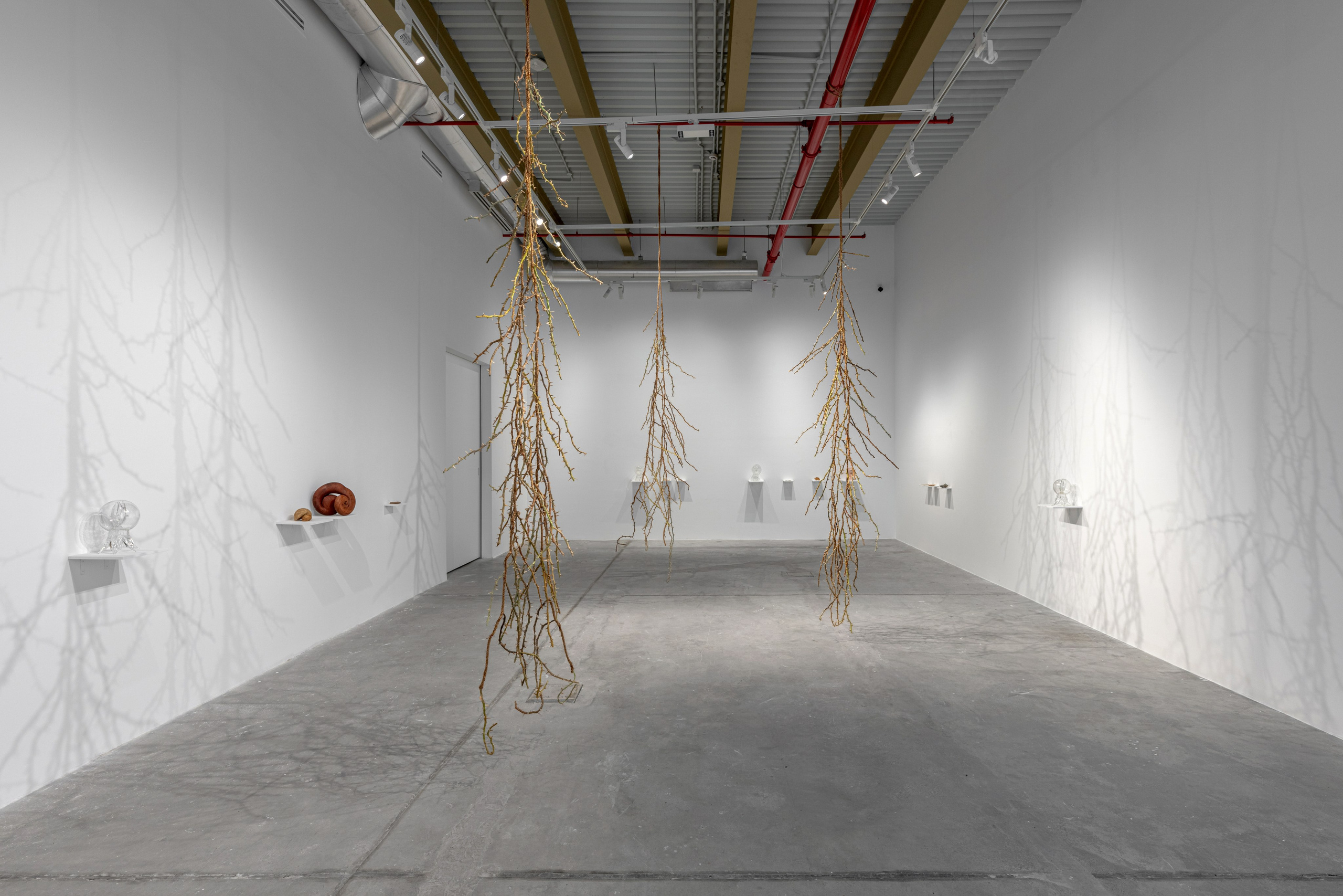 Nika Project Space “Beghost”