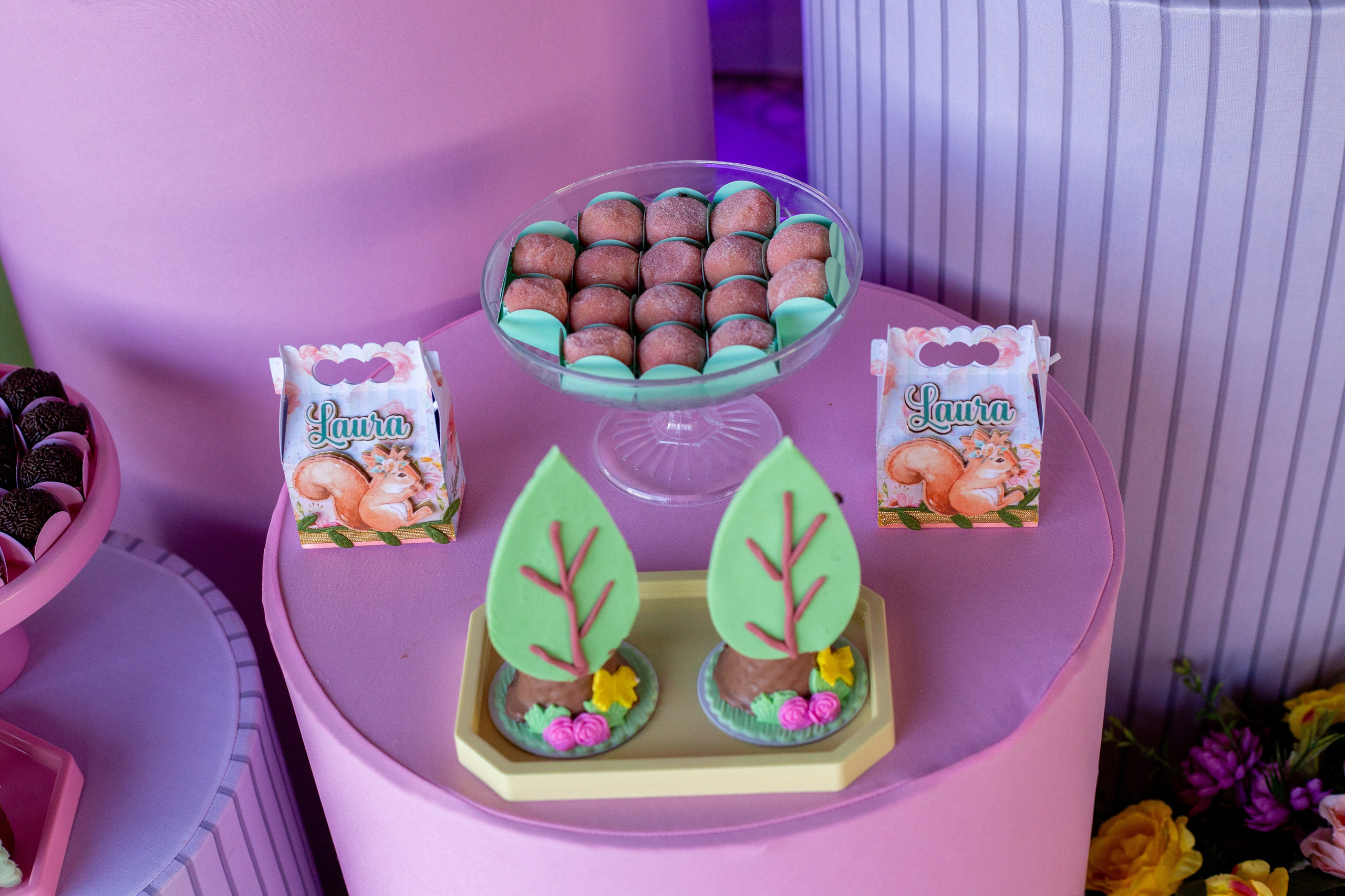 Laura 5 anos. Bem-vindo ao Meu Mundo Fotográfico