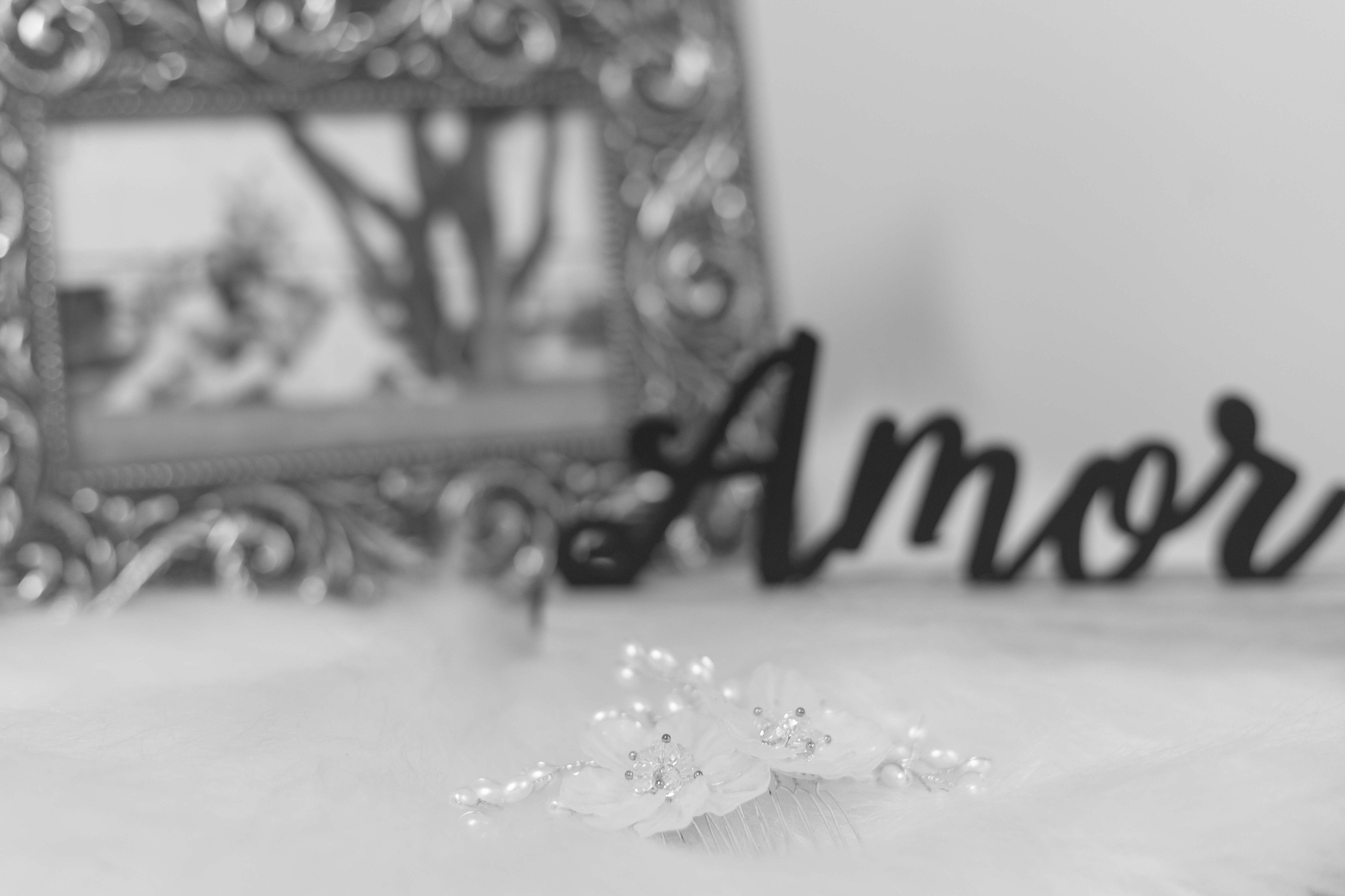 Valeria e Ramon. Bem-vindo ao Meu Mundo Fotográfico