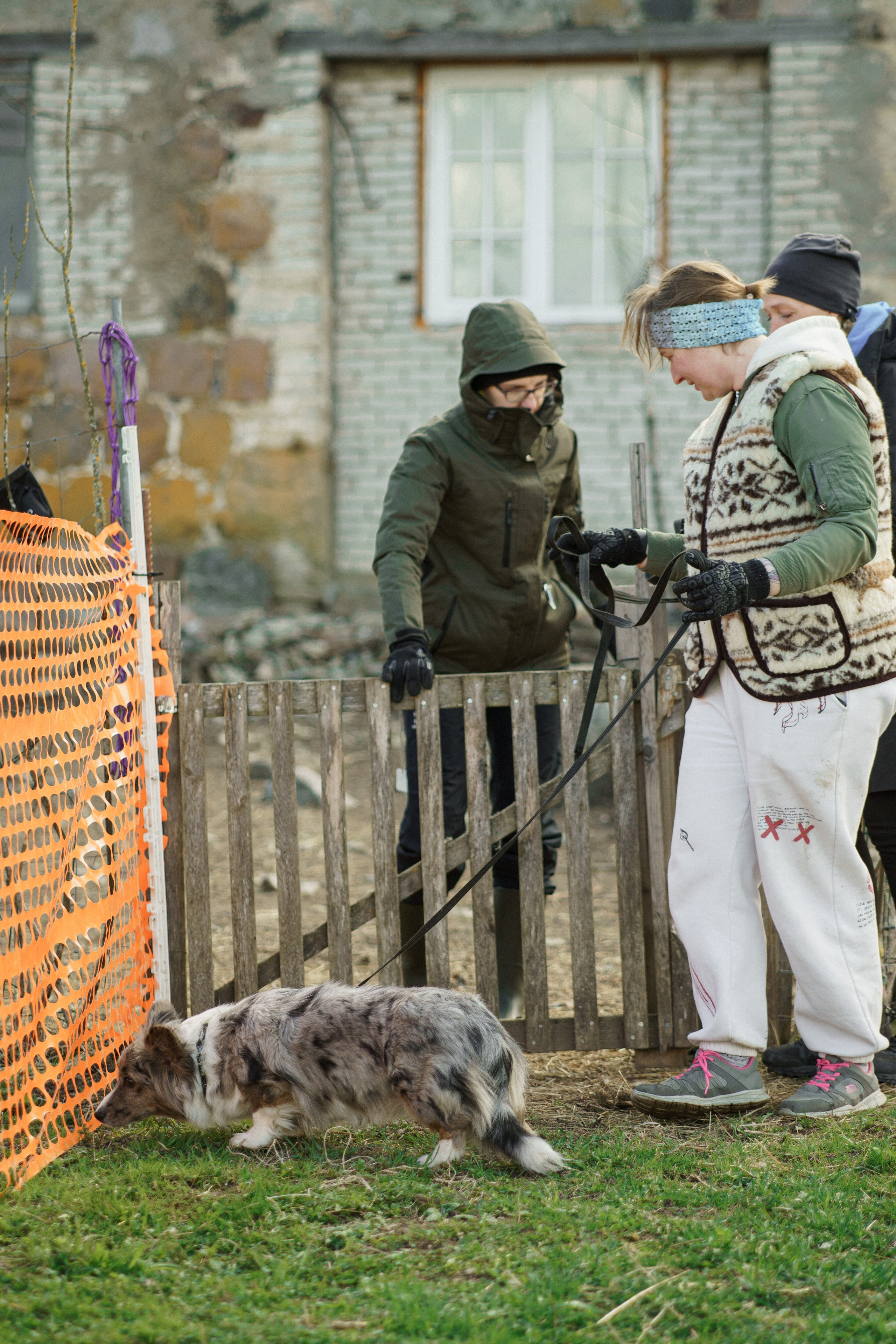 Herding Days, 26 apr. 2025. Kat Laisaar — Pet photographer in Tallinn