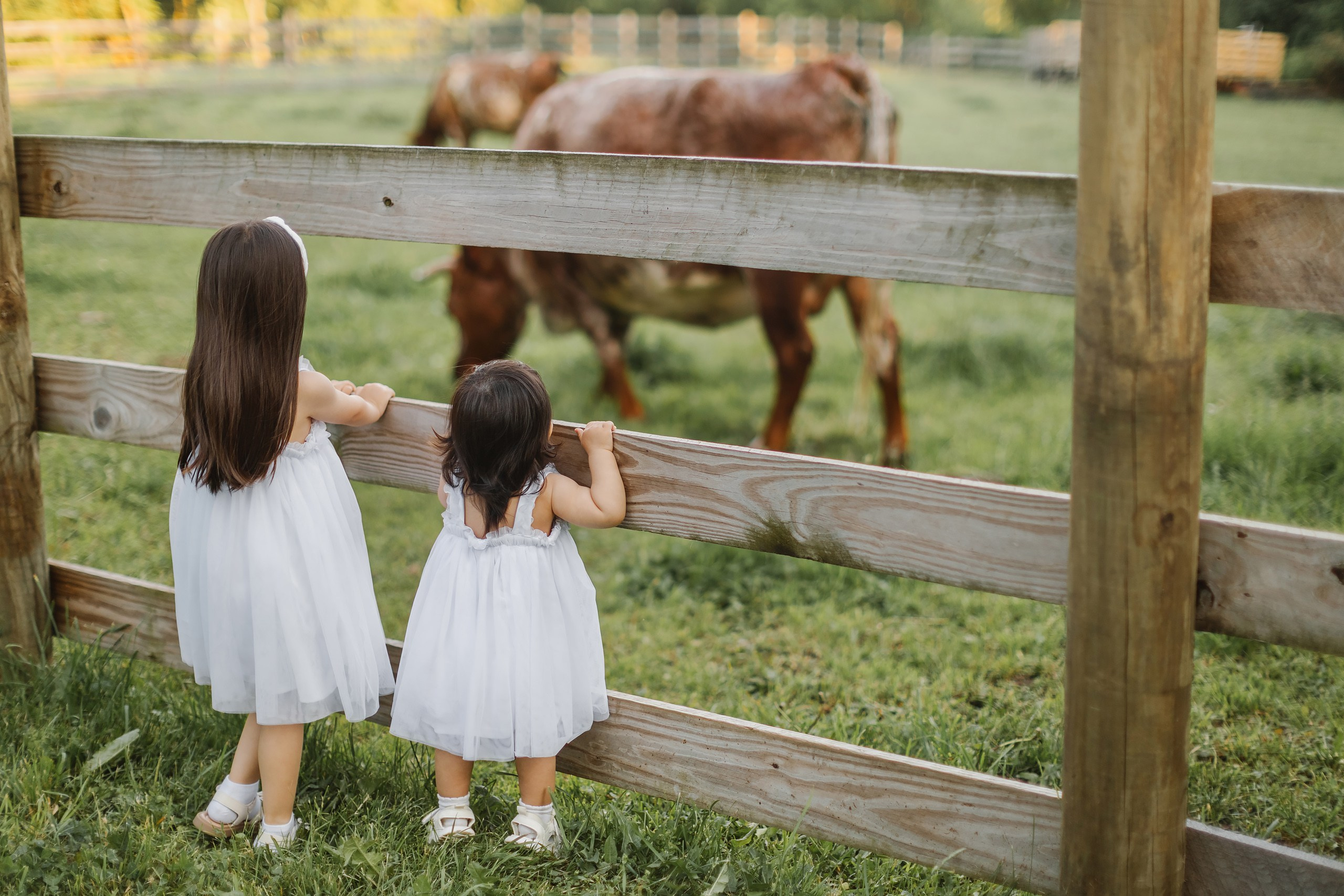 05.25.26 Family Photoshoot. Wedding family event photographer in Chicago Nick Yushevich