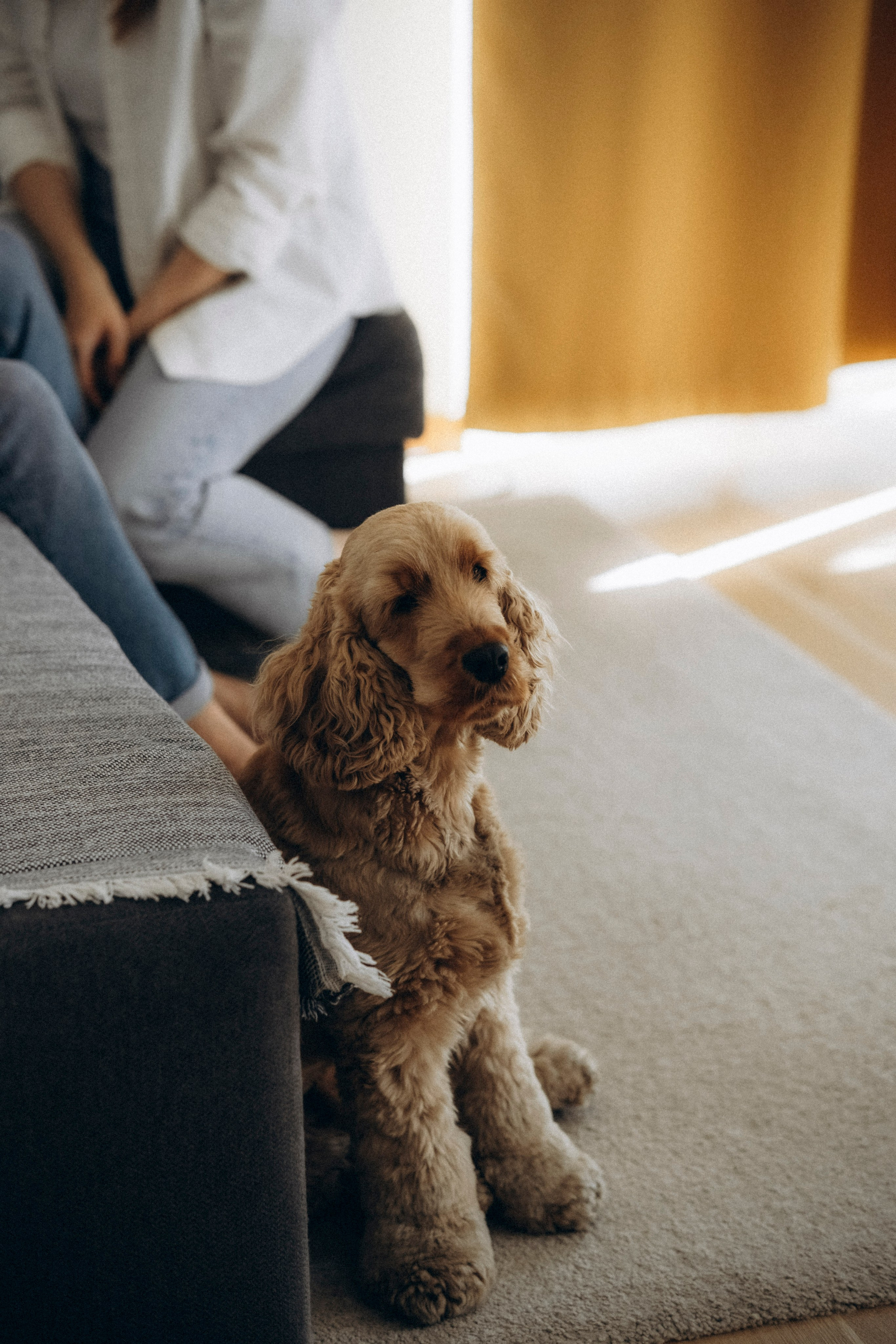 Federico, Dasha, Vera & Yura. Фотографы Минск и мир