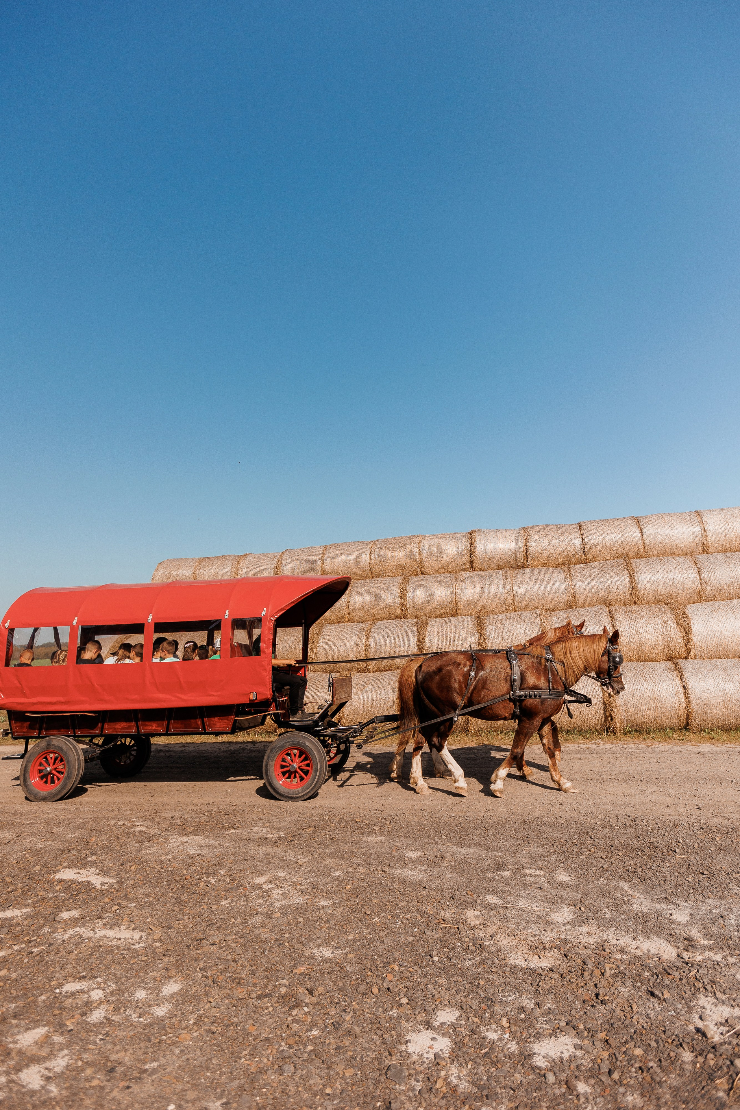 Екопарк Аміла. Ірина Терещук